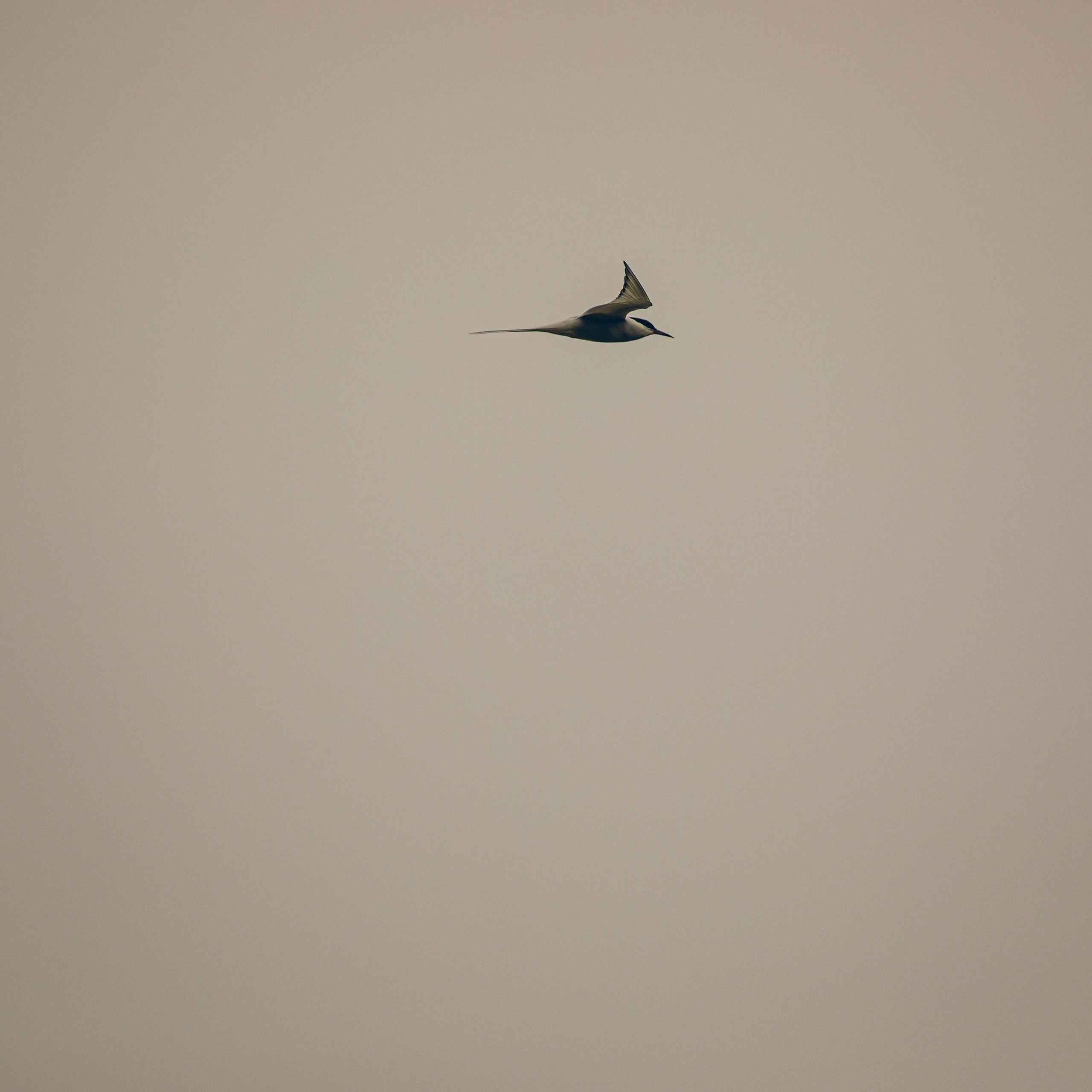 Кольский полуостров