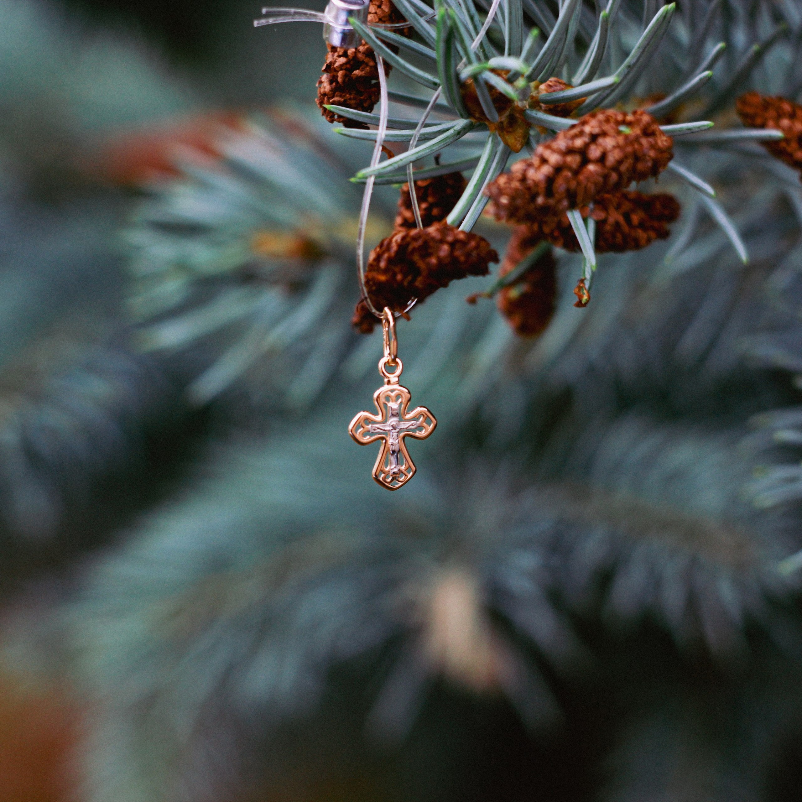 Таинство Фёдор. Фотограф в Москве
