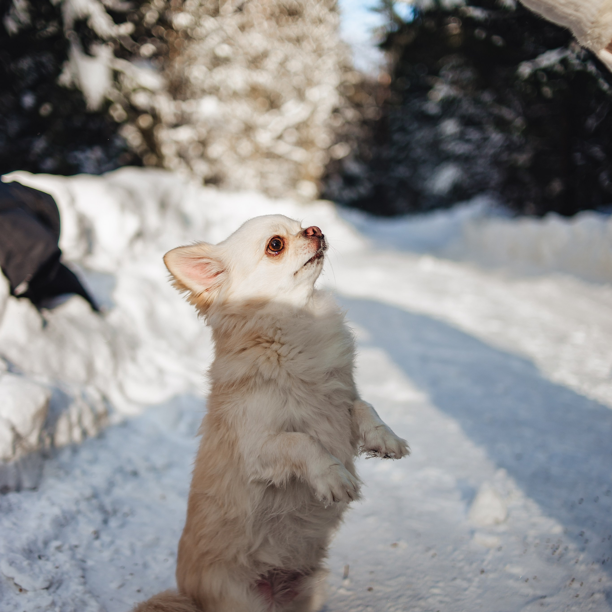 Даша и Саша. Фотограф в Москве