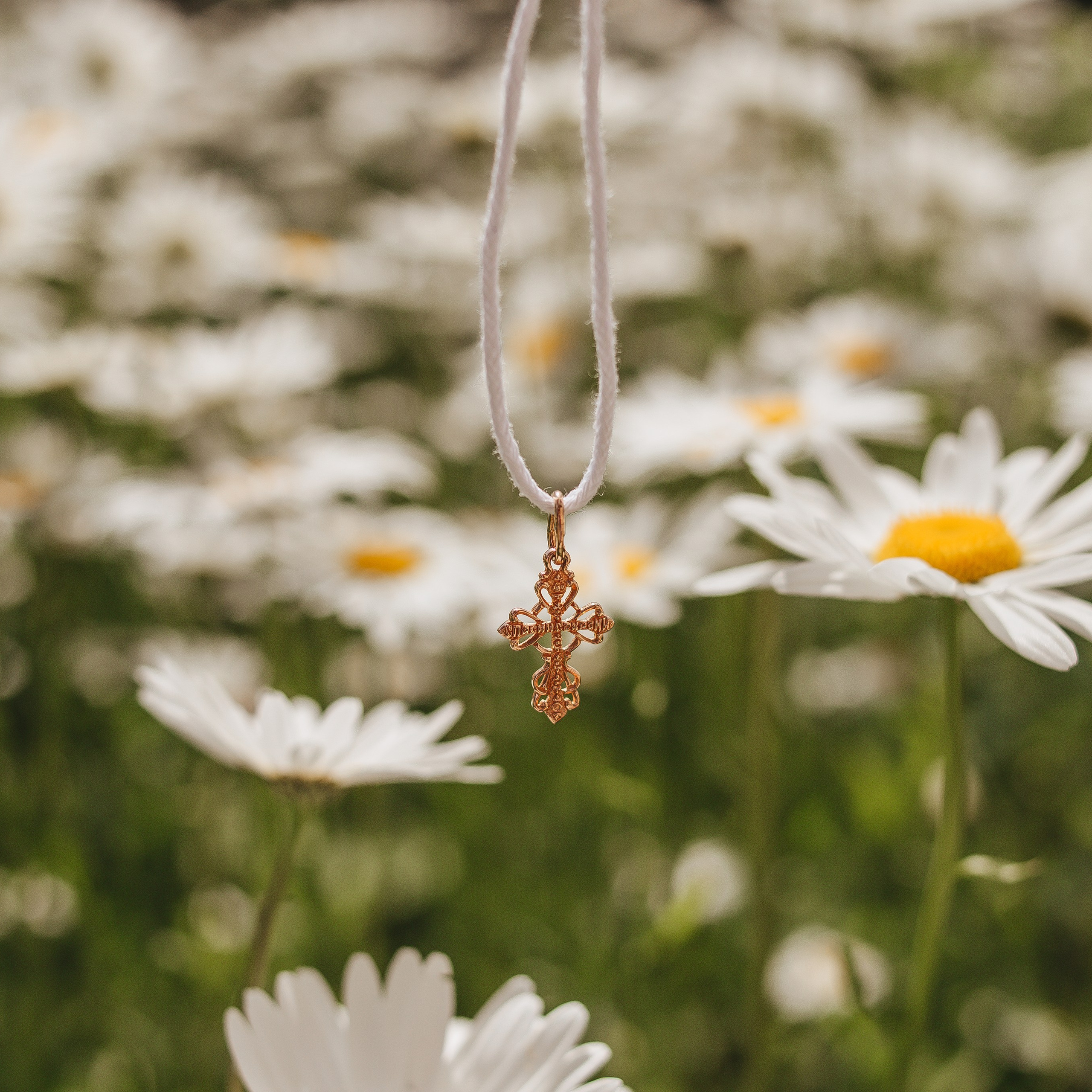 Таинство (Жуковский). Фотограф в Москве