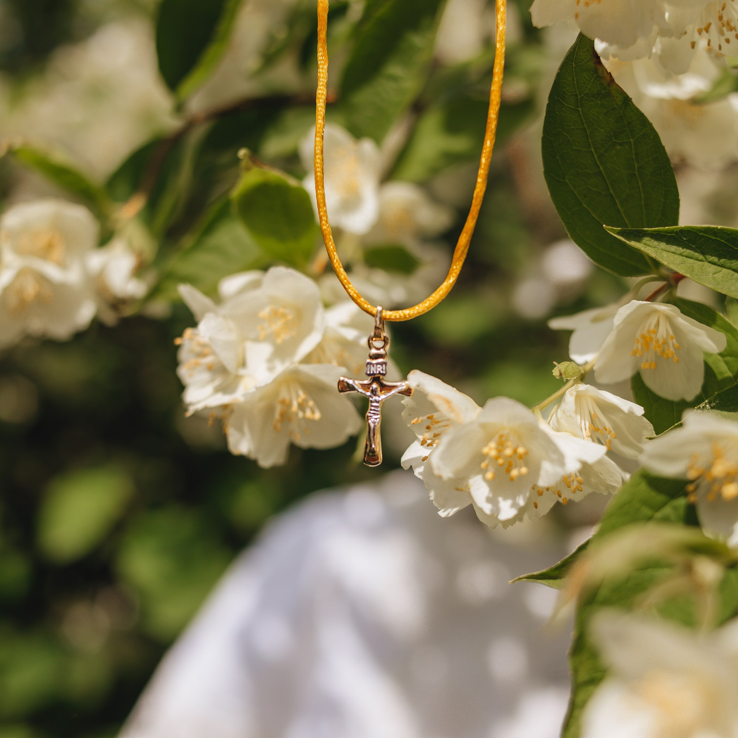 Таинство (Жуковский). Фотограф в Москве