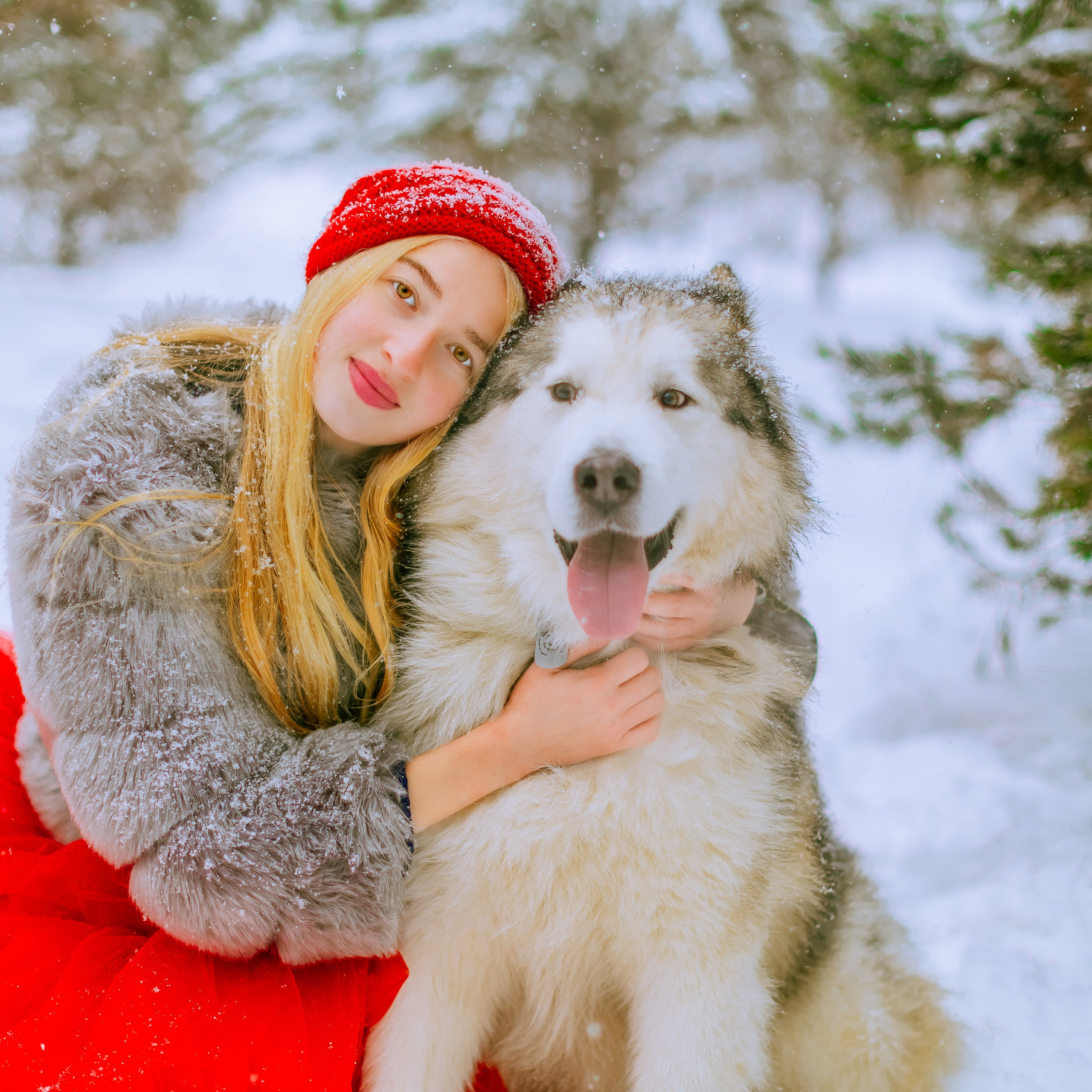 Маруся и аляскинский маламут