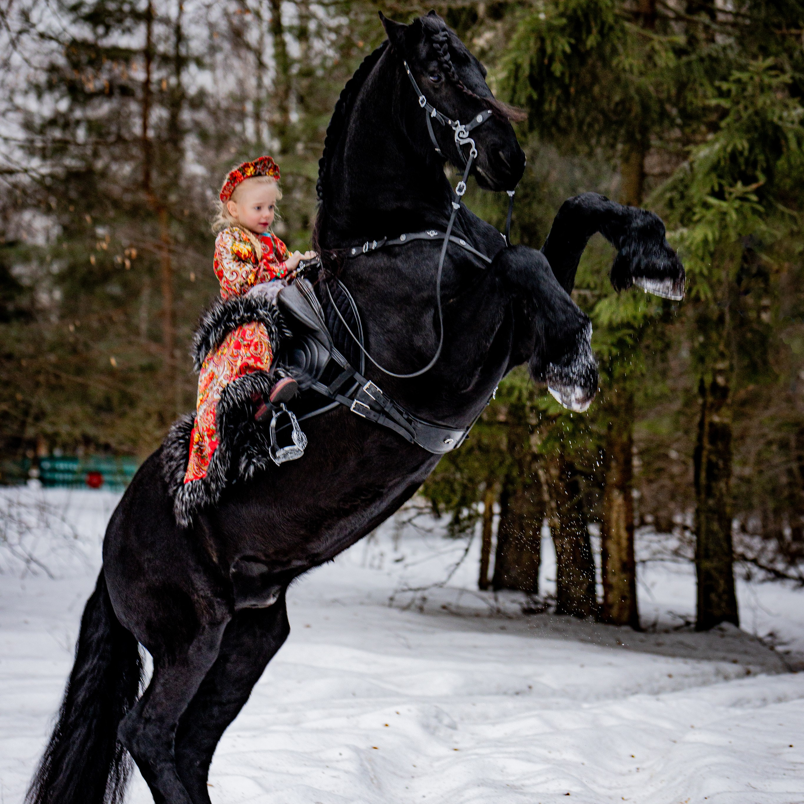 АНОНС. Анюта и конь