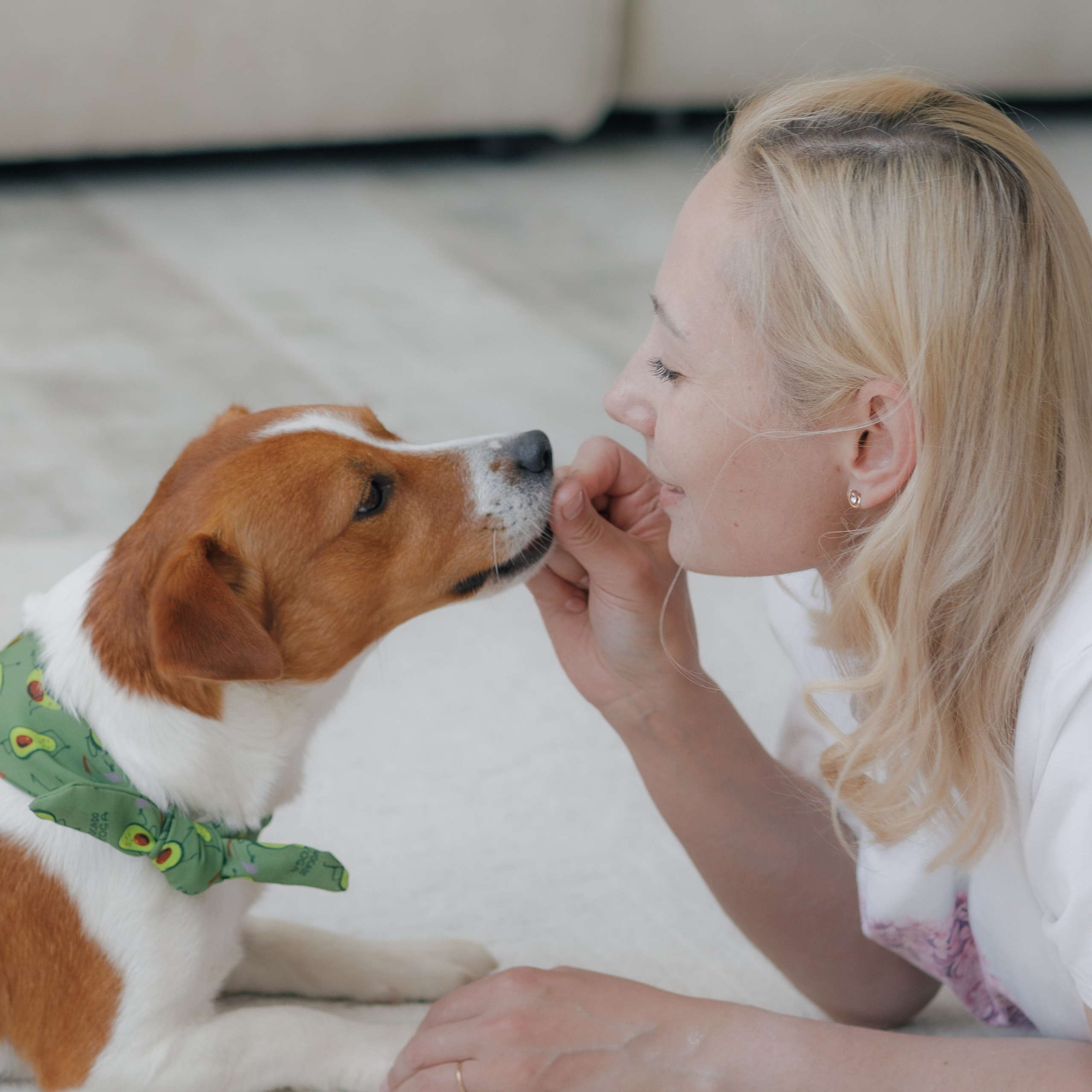 Счастье имеет хвост и мокрый нос