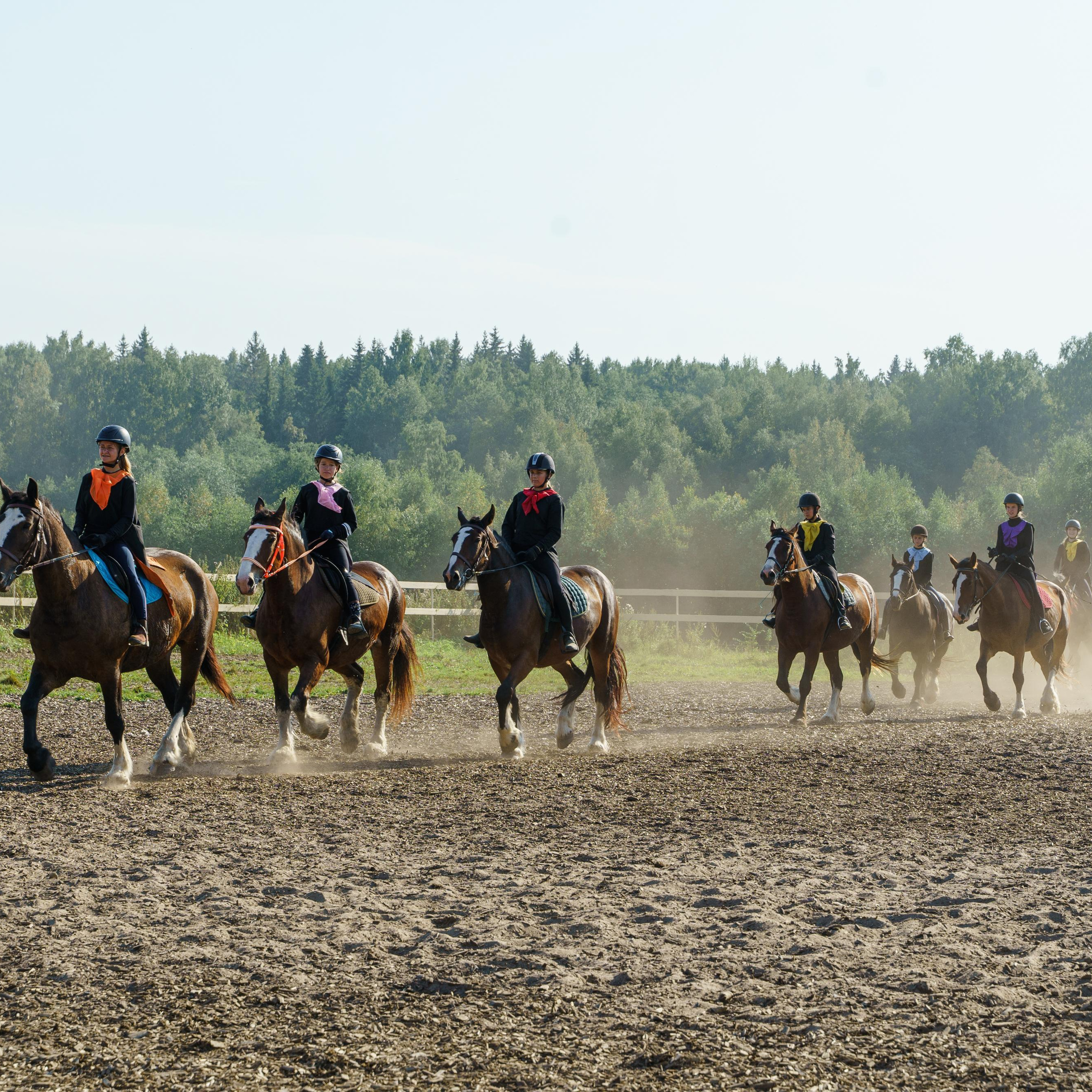 Отзывы. Фотограф Анастасия Арланцева