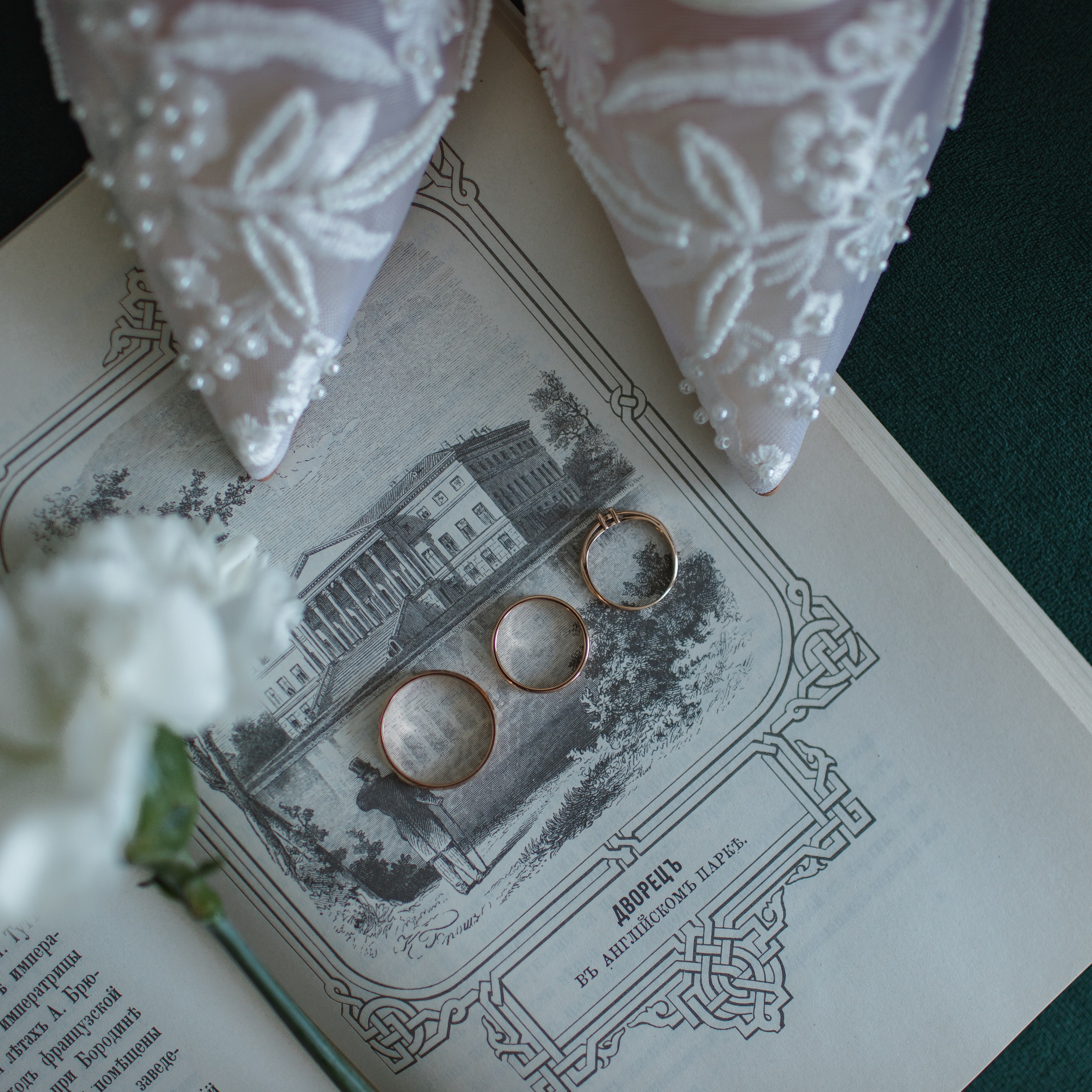 Владимир и Елена