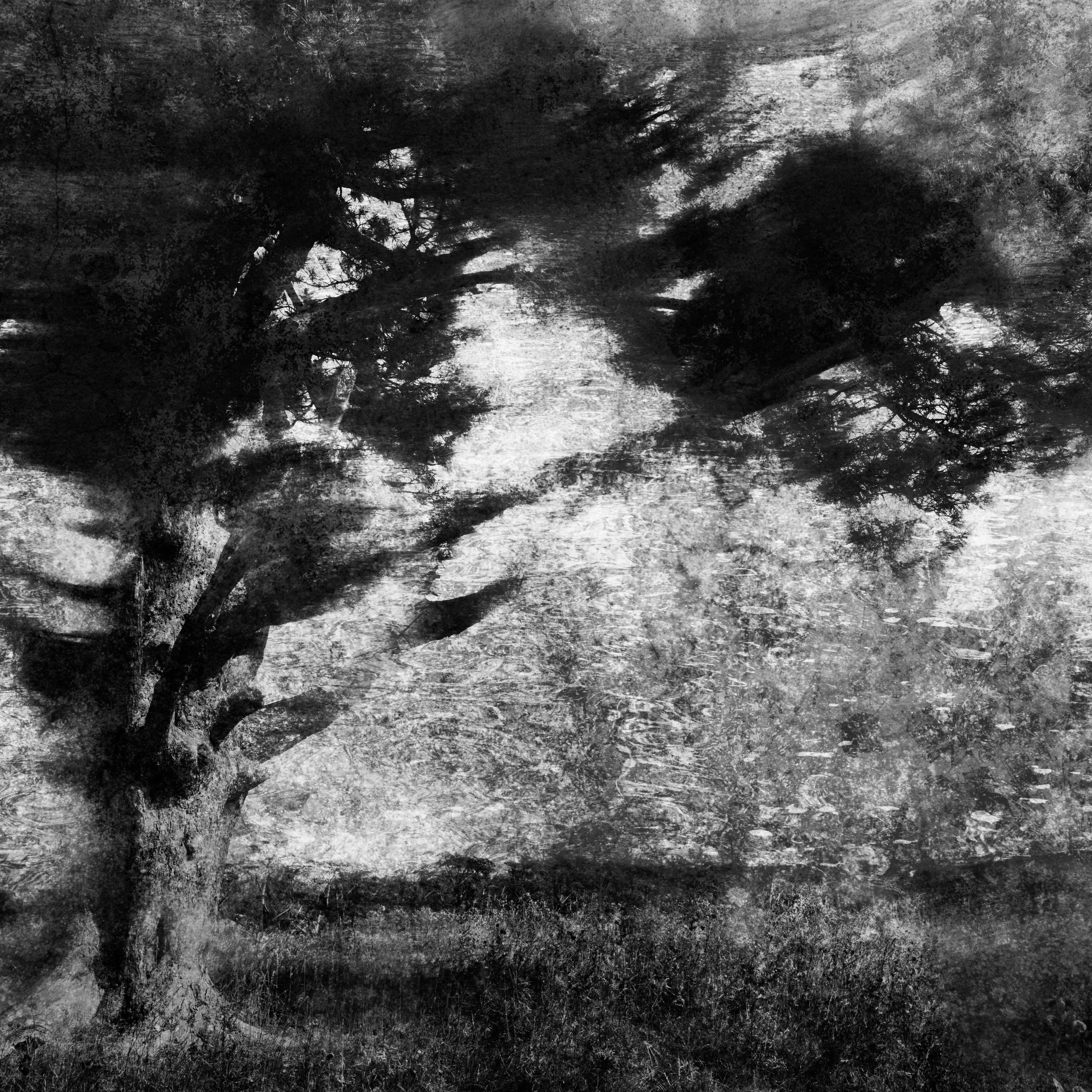 Меланхолия