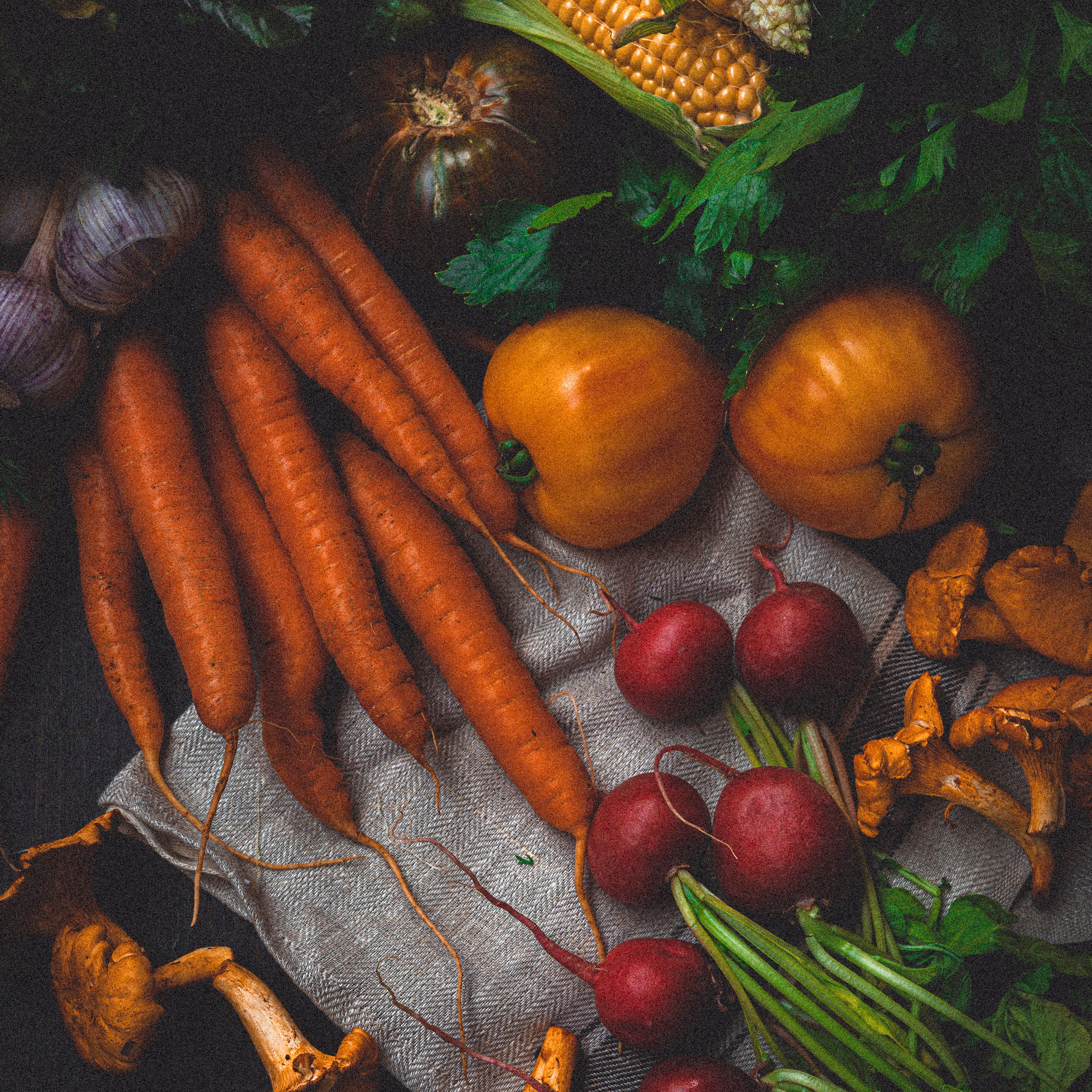 Отзывы. Фуд-фотограф и видеограф из Петербурга