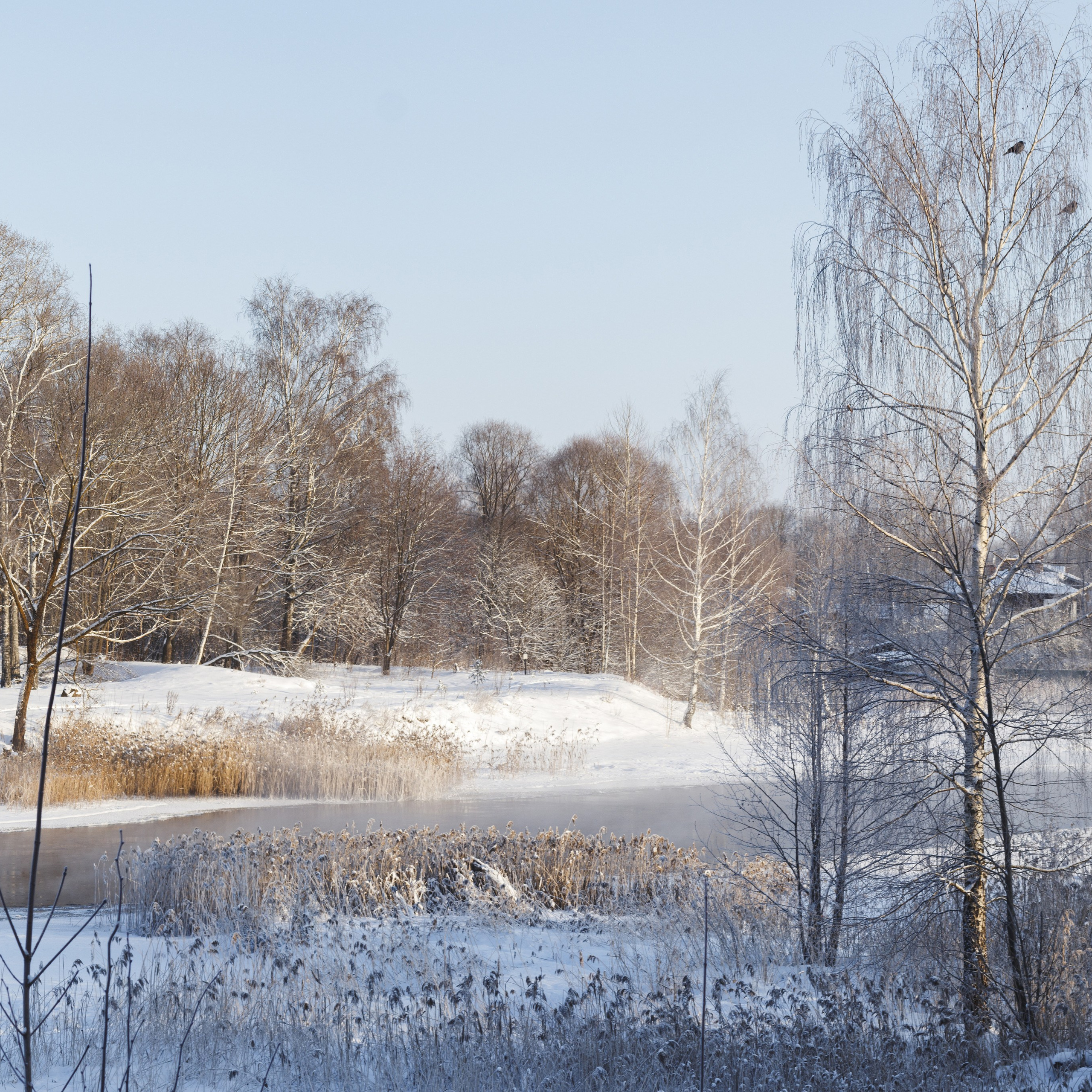 Отпечаток: Зима в минус 30