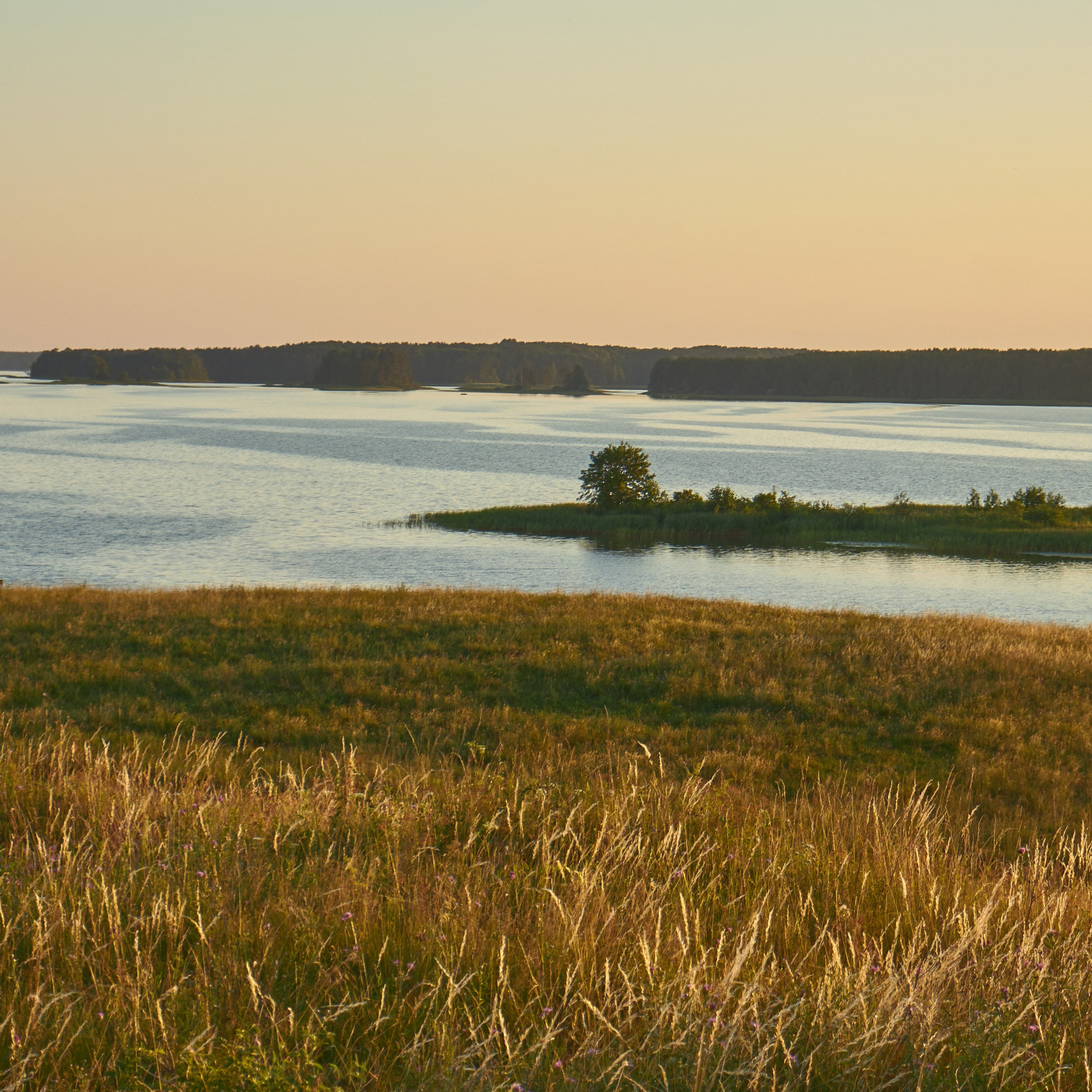 Отпечаток: Золотая тишина