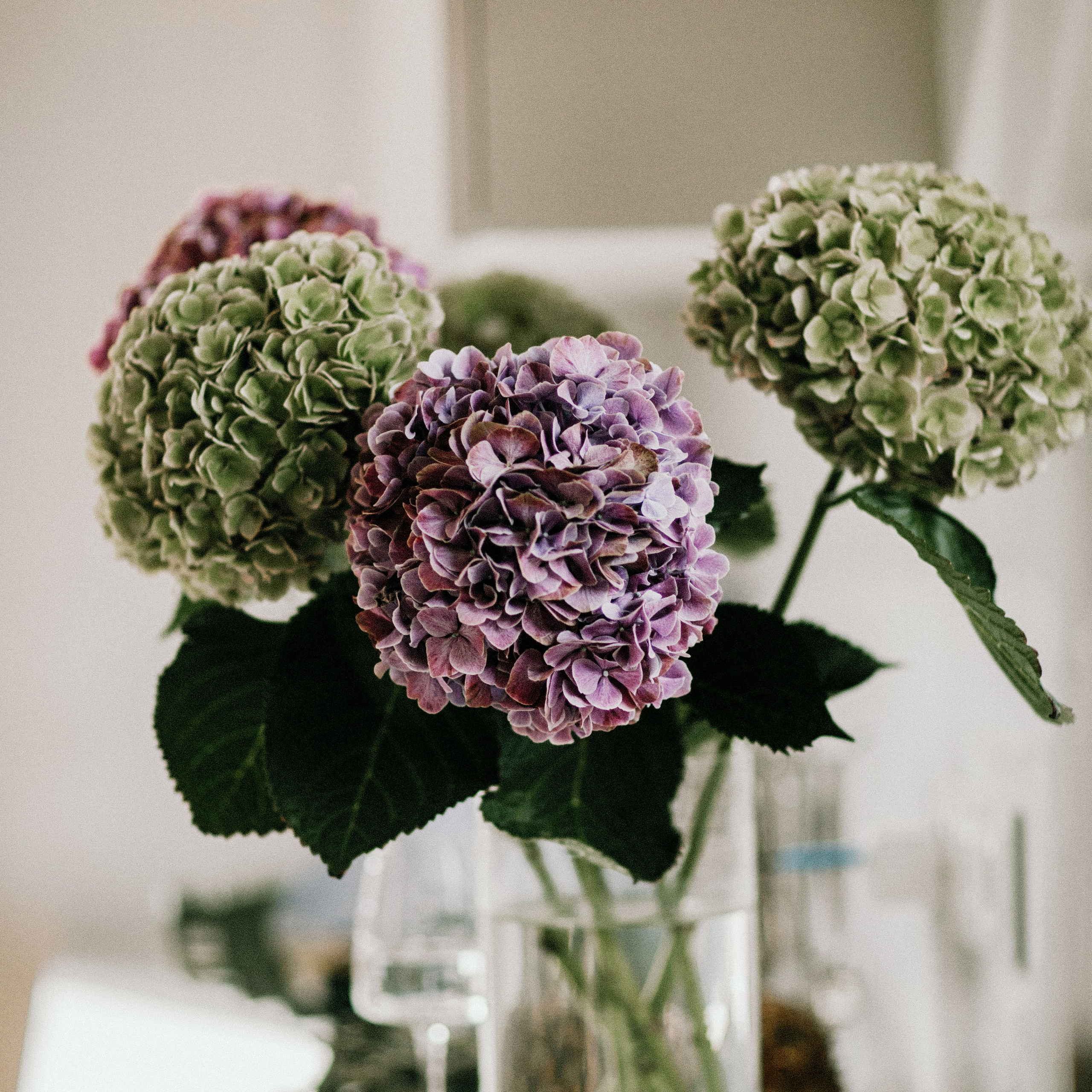 семья Димы и Салты