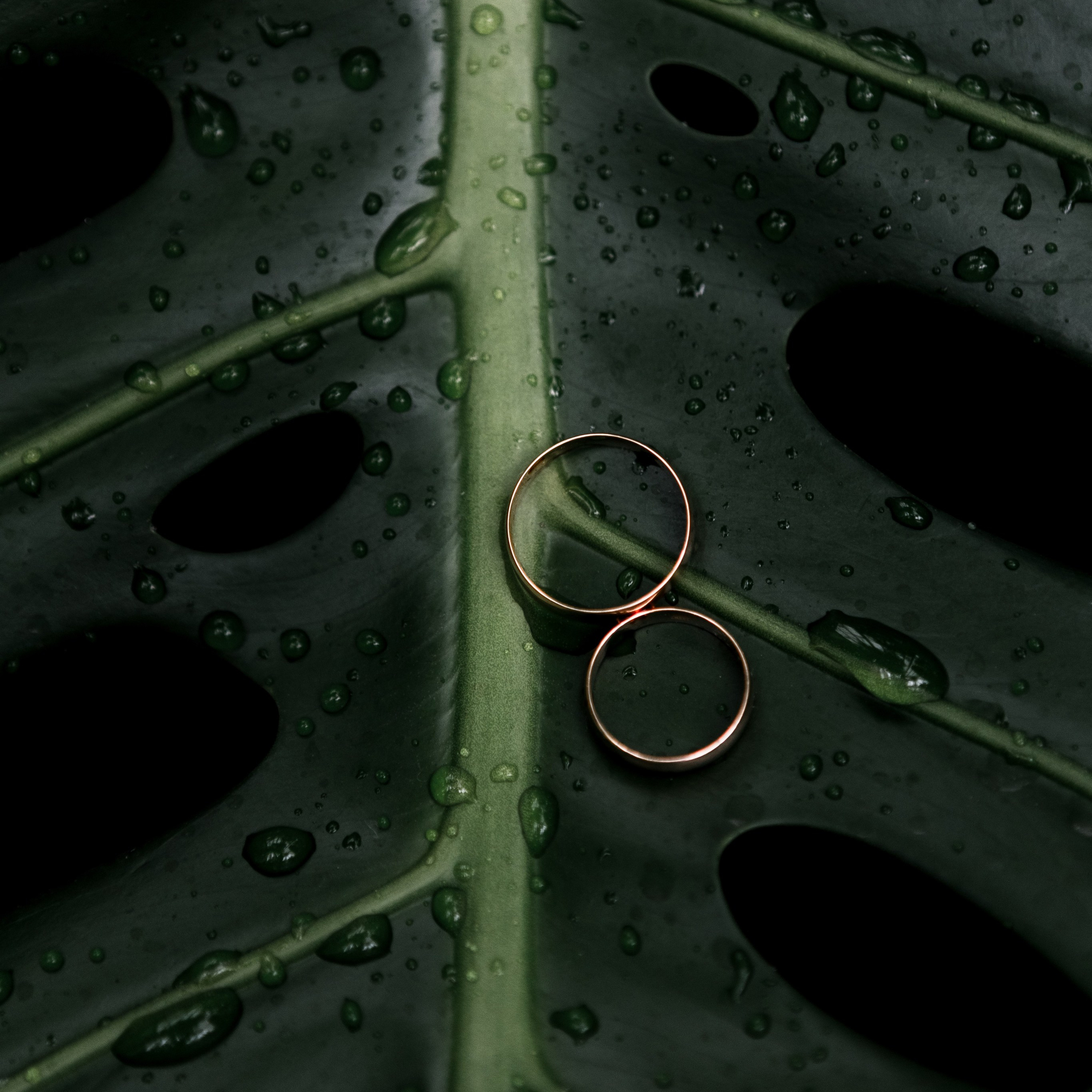 Отзывы. Фотограф в Санкт-Петербурге Ольга Андрианова