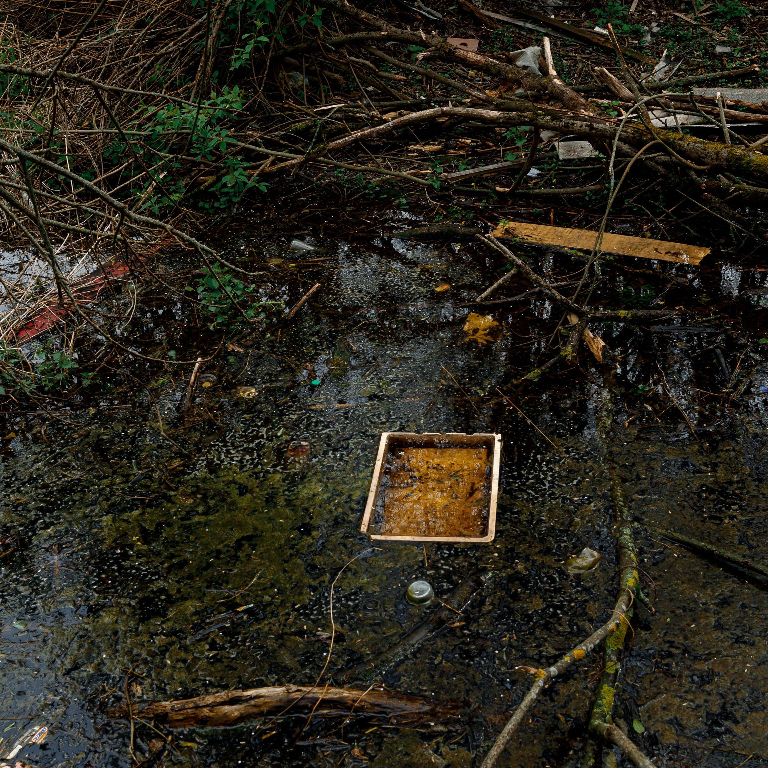 Фотограф Саханцева Анна Блог. Репортажный и портретный фотограф в Москве Саханцева Анна