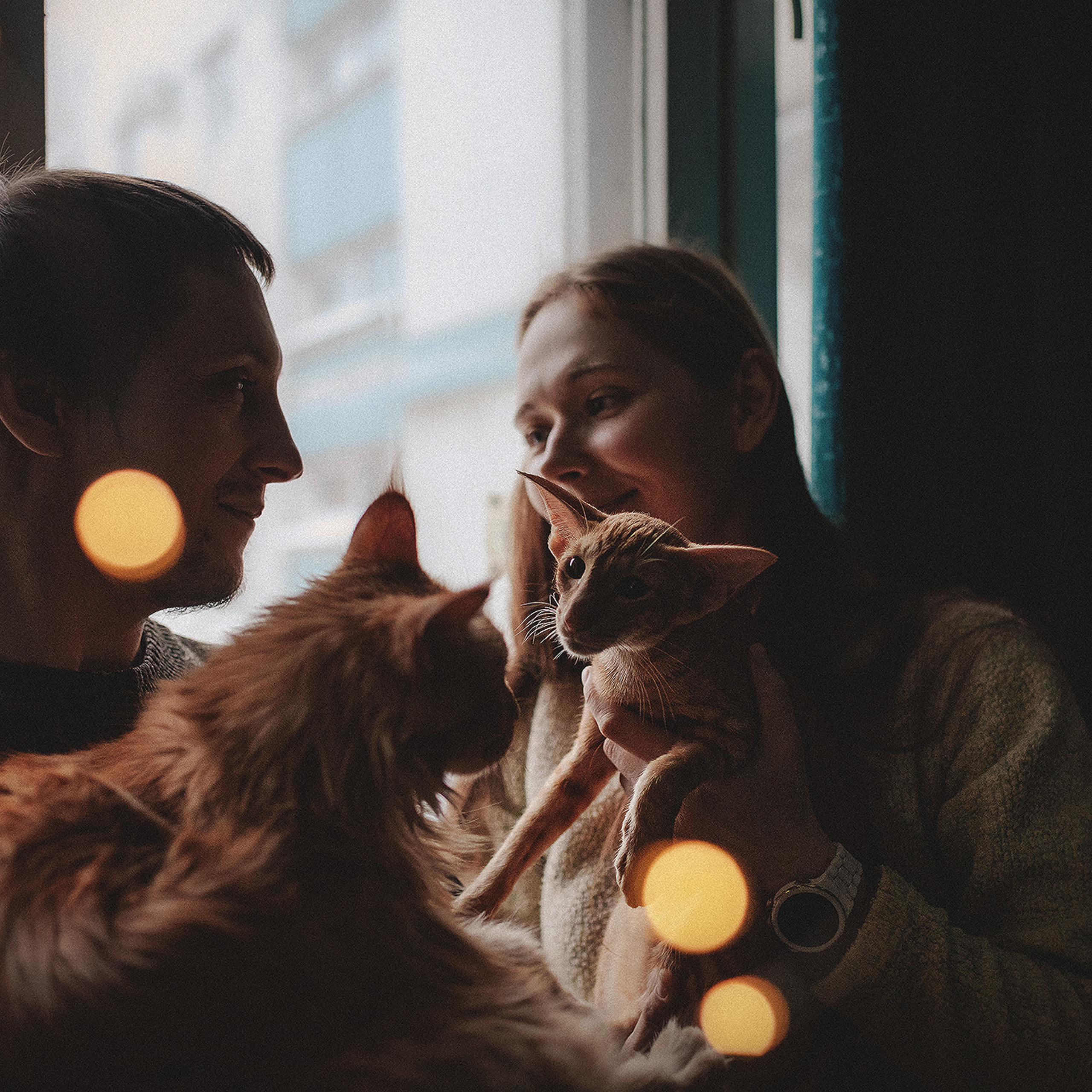 Отзывы. Фотограф-анималист • love-story • Санкт-Петербург