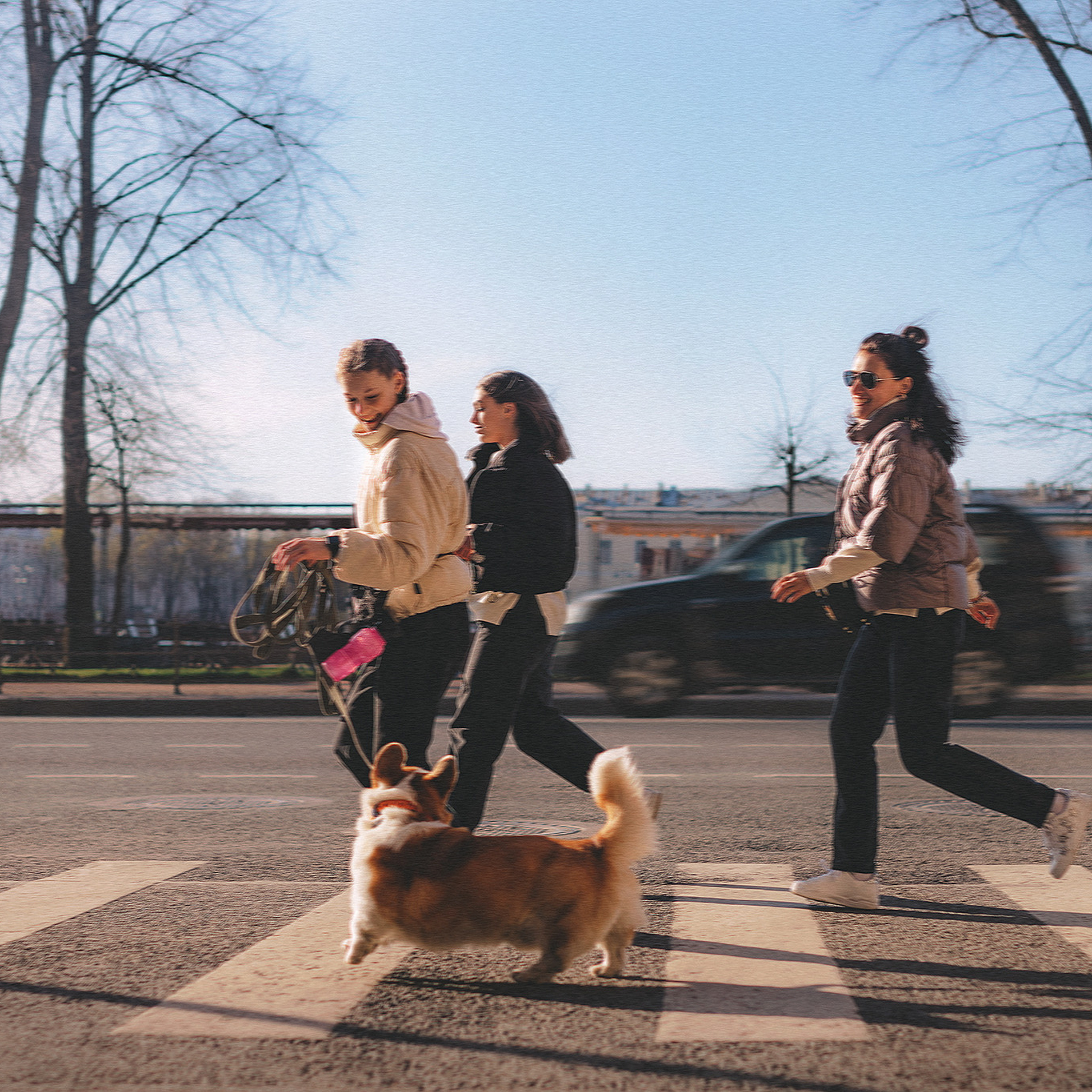 Отзывы. Фотограф-анималист • love-story • Санкт-Петербург