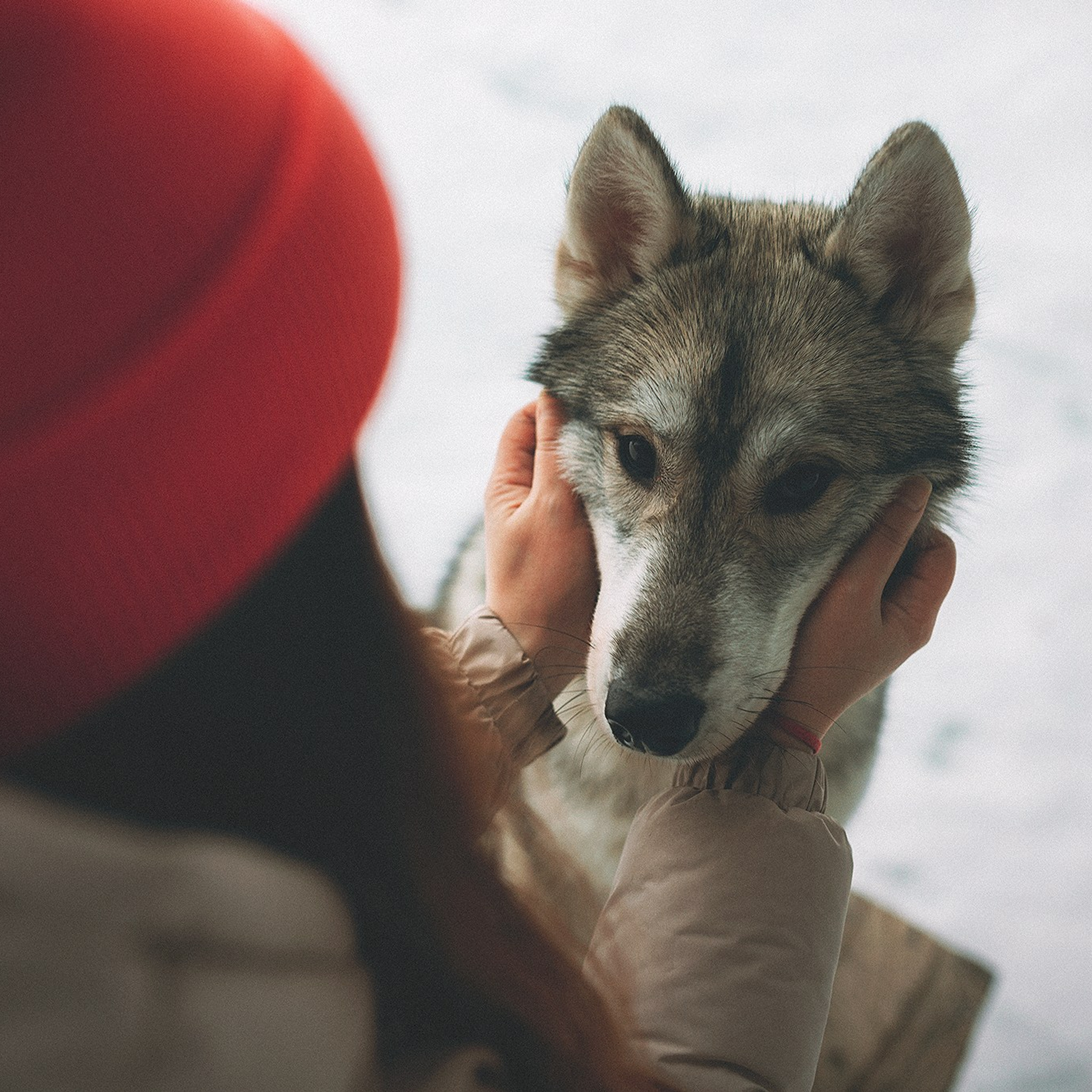 Даймонд и Настя