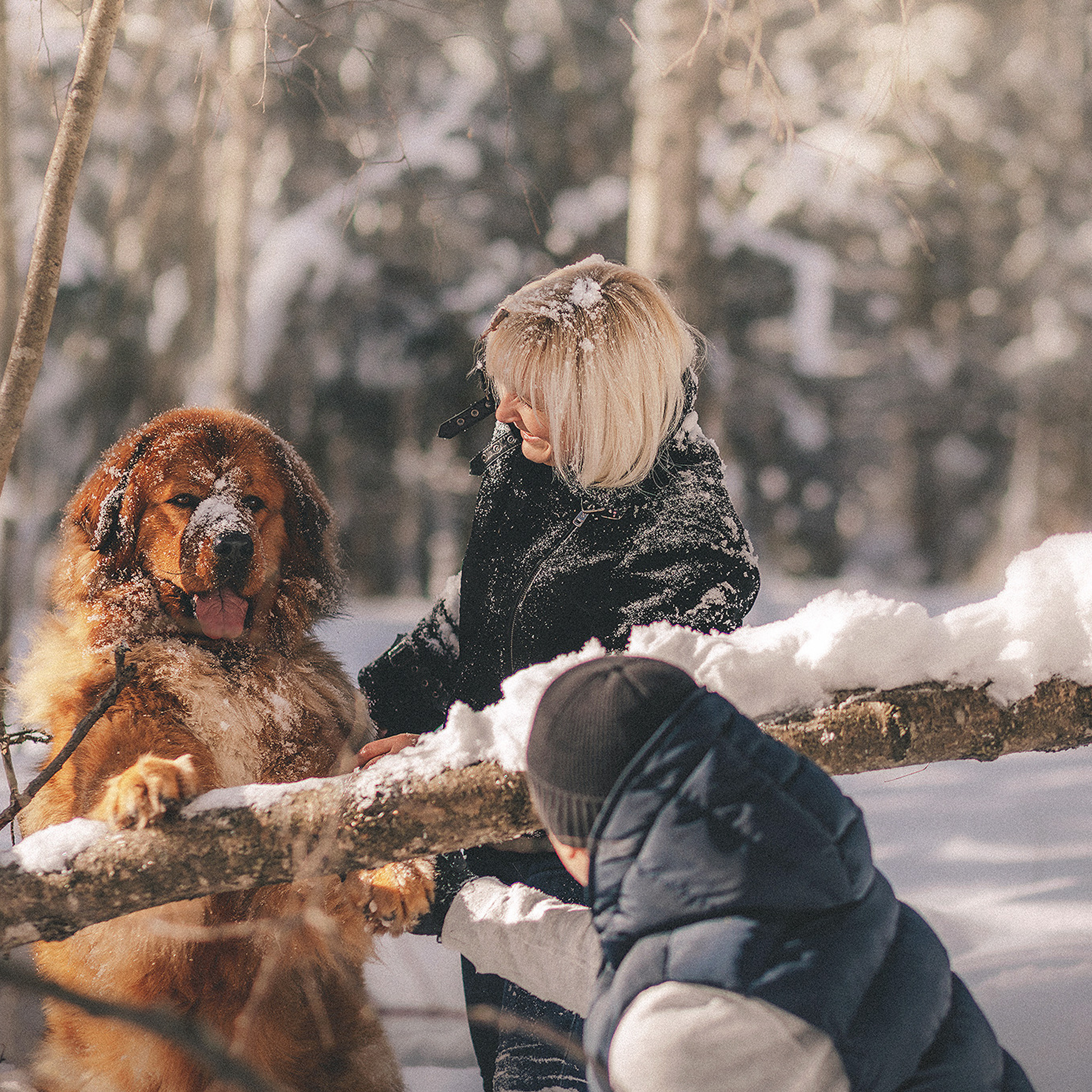 Отзывы. Фотограф-анималист • love-story • Санкт-Петербург