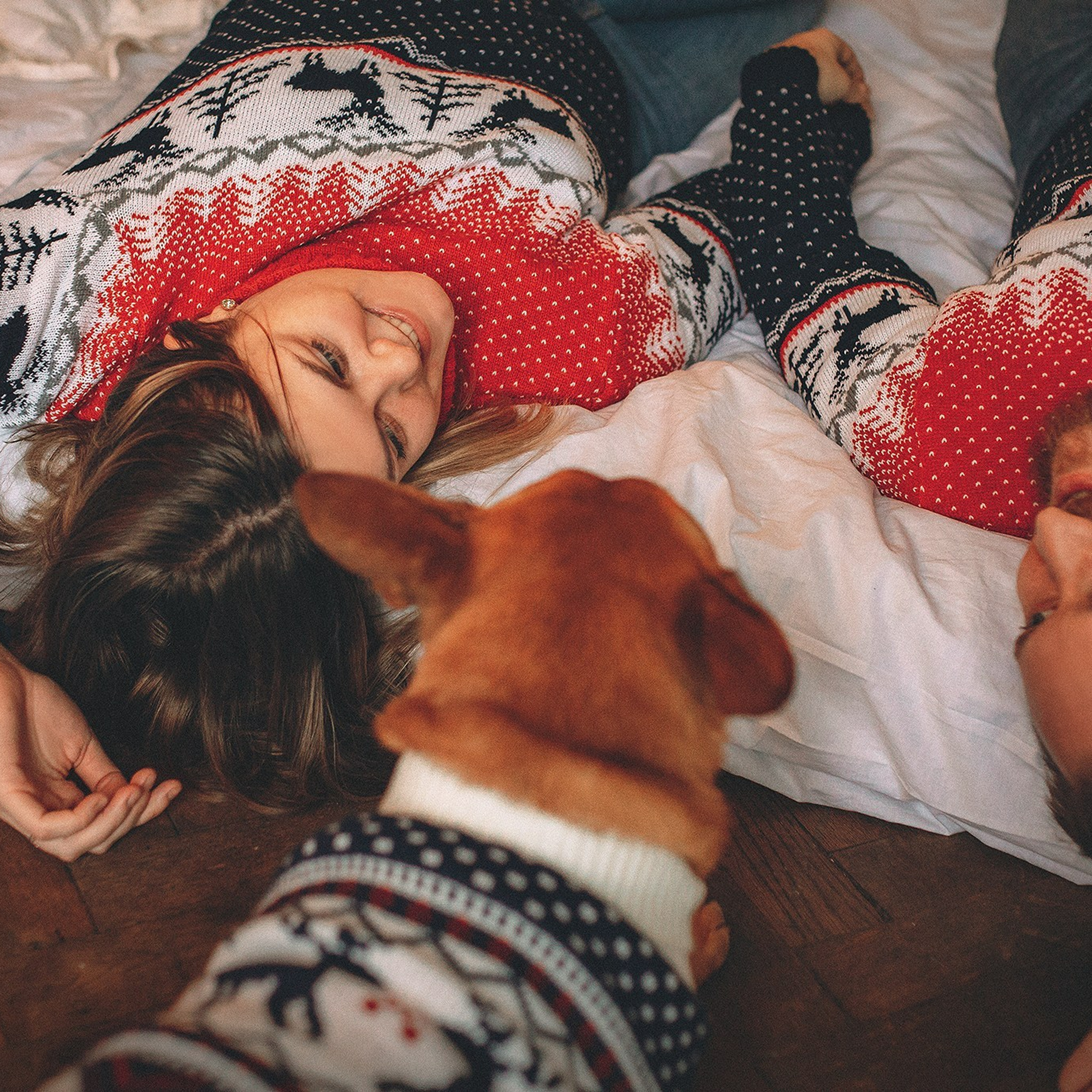 Отзывы. Фотограф-анималист • love-story • Санкт-Петербург