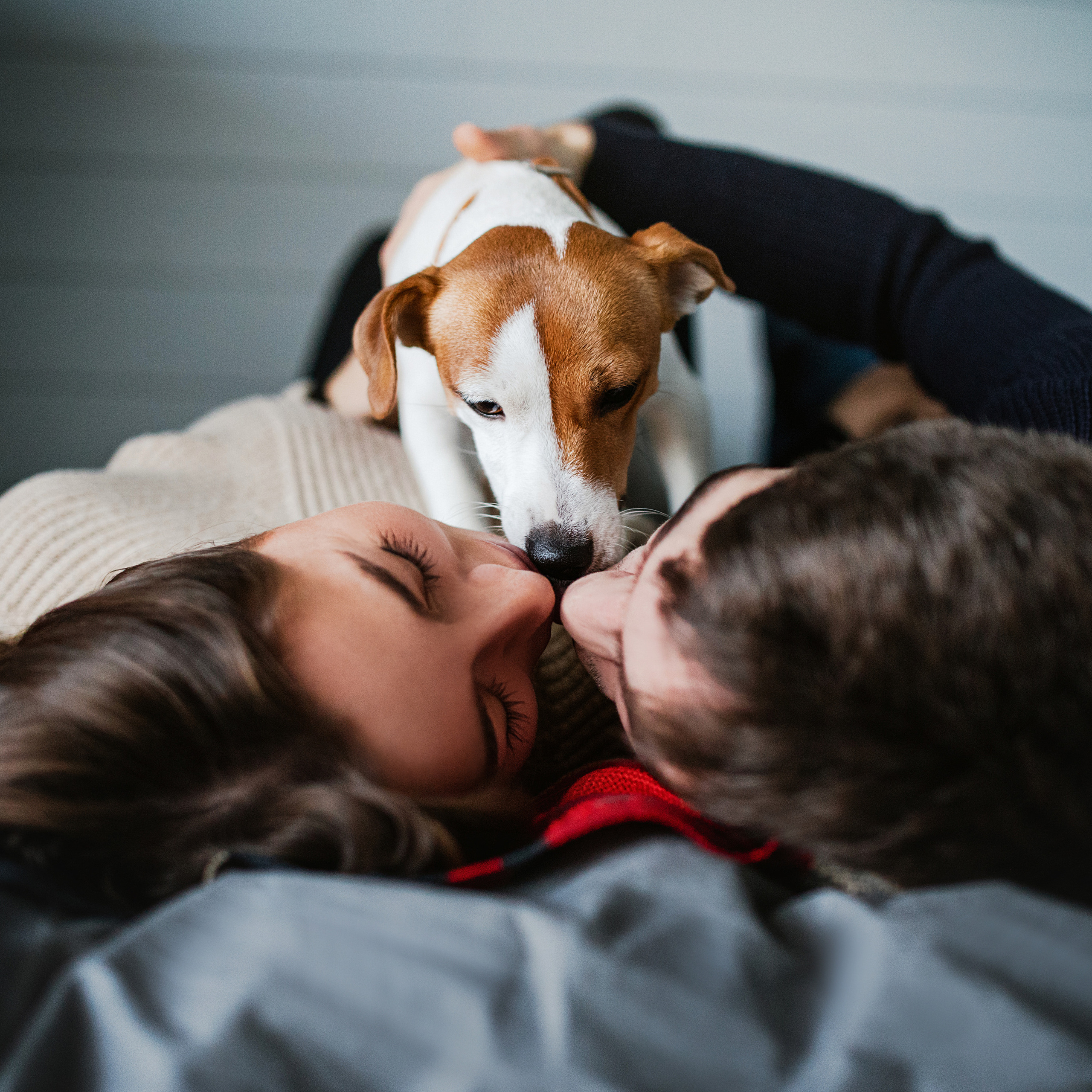 Лав-стори Насти и Ромы + джек рассел Рикси