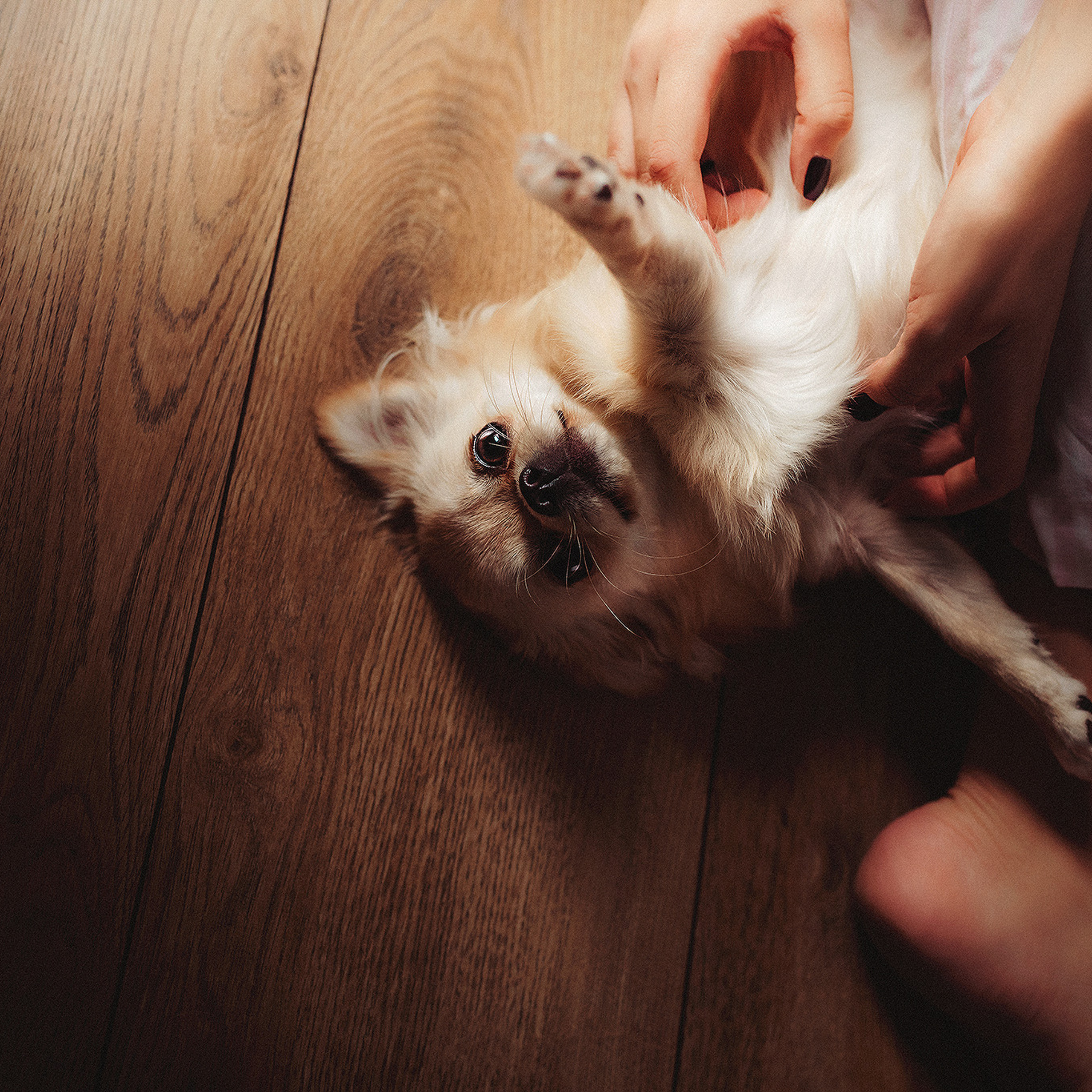 Буба и Настя