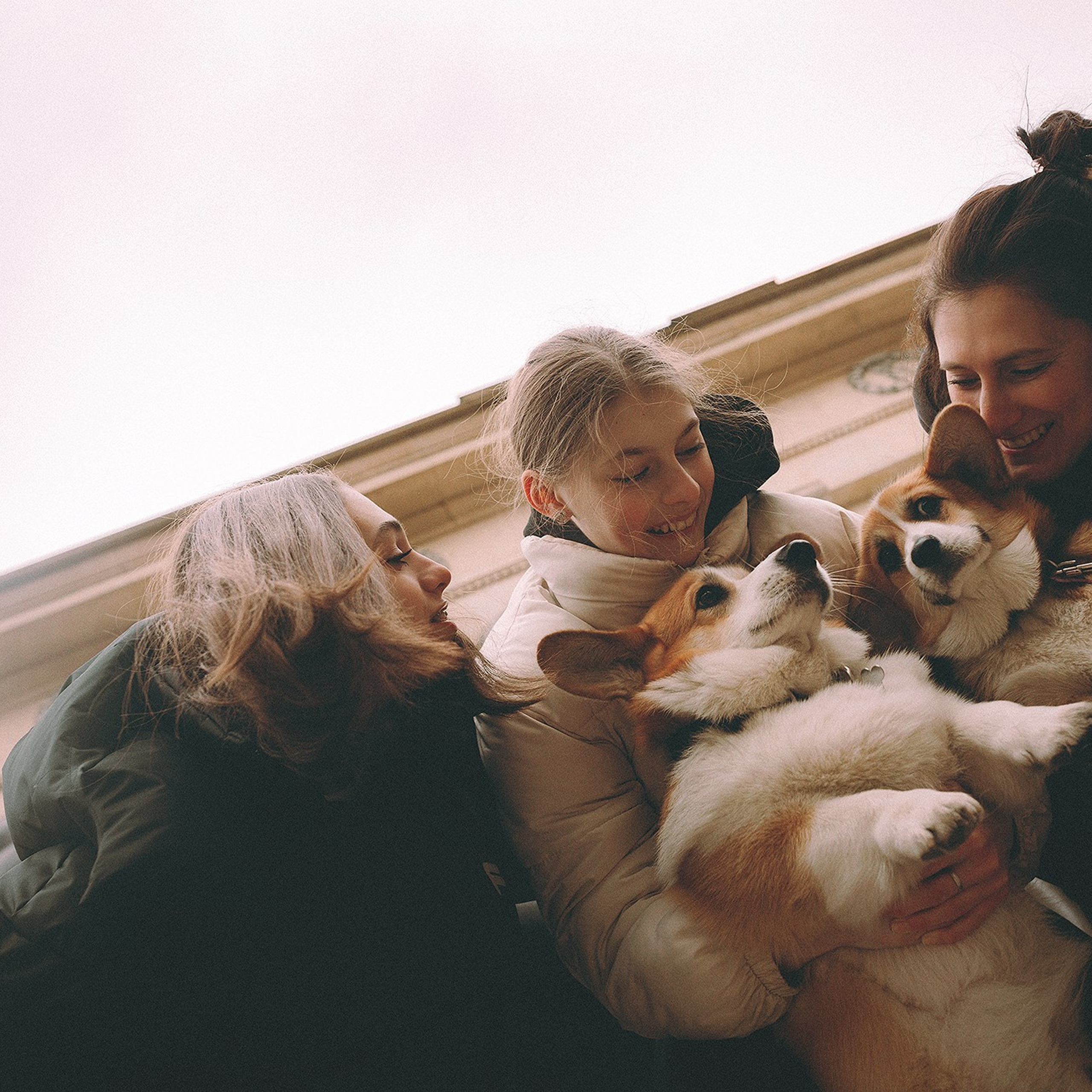 Отзывы. Фотограф-анималист • love-story • Санкт-Петербург