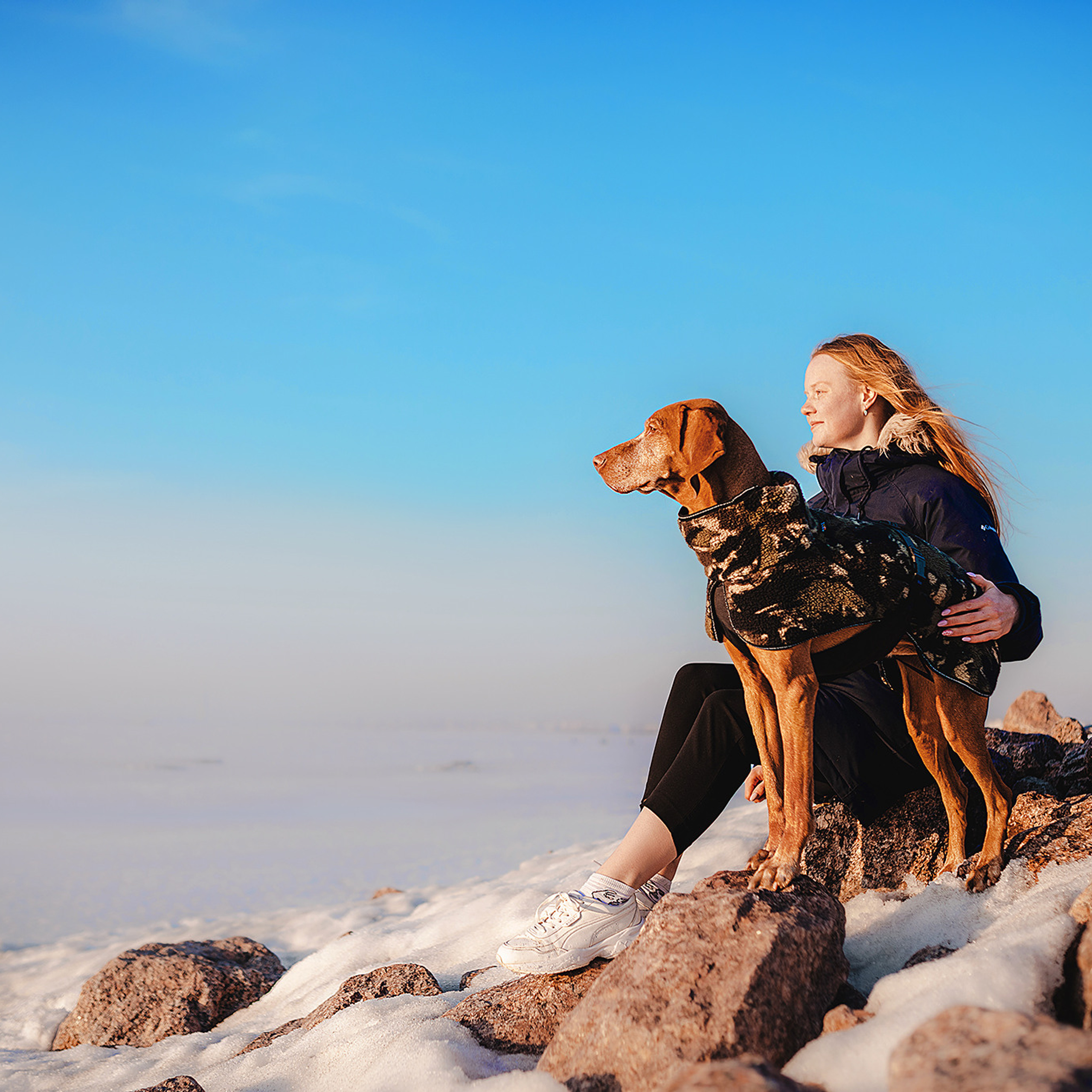 Выжла Паня и Алиса