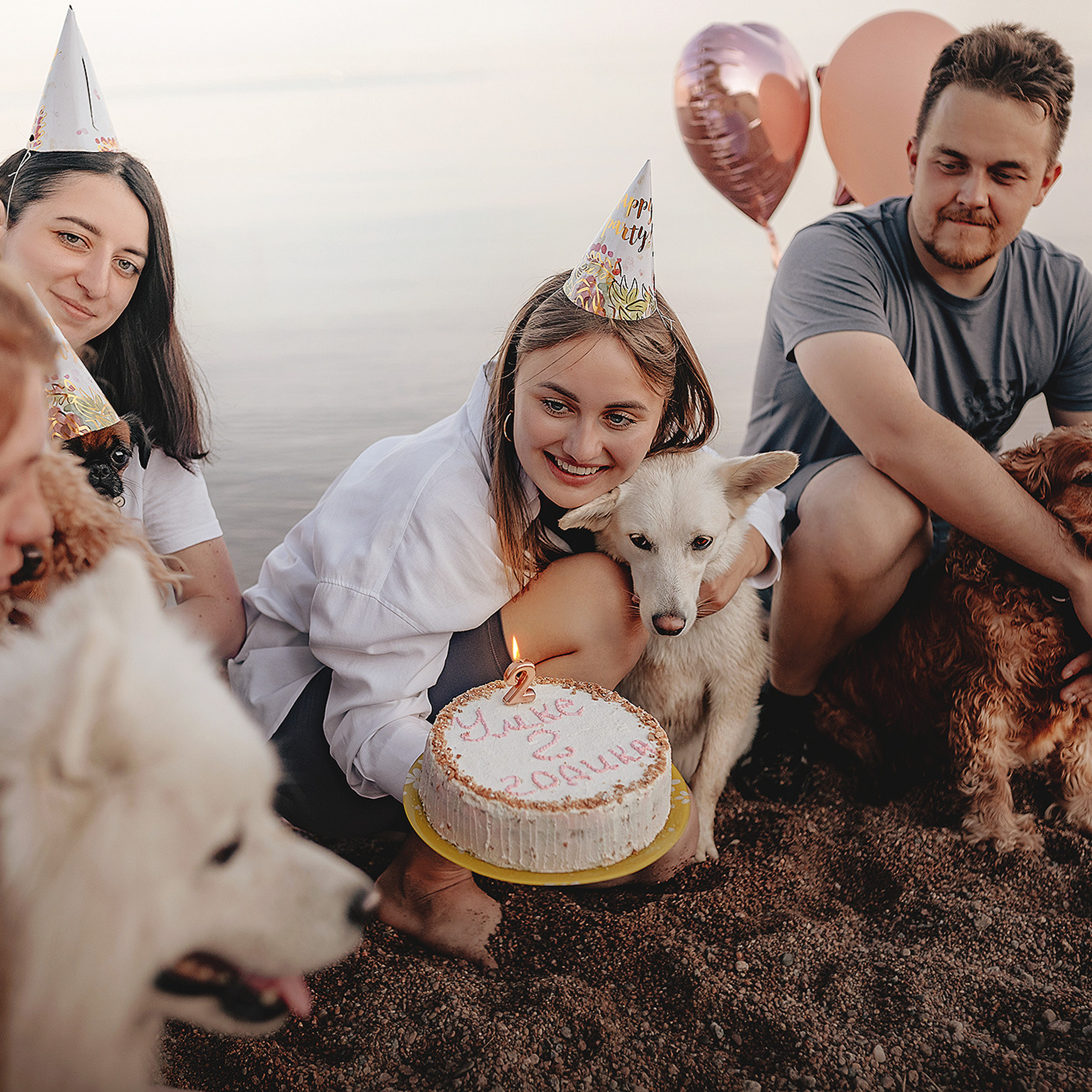 Серия: собачий ДР