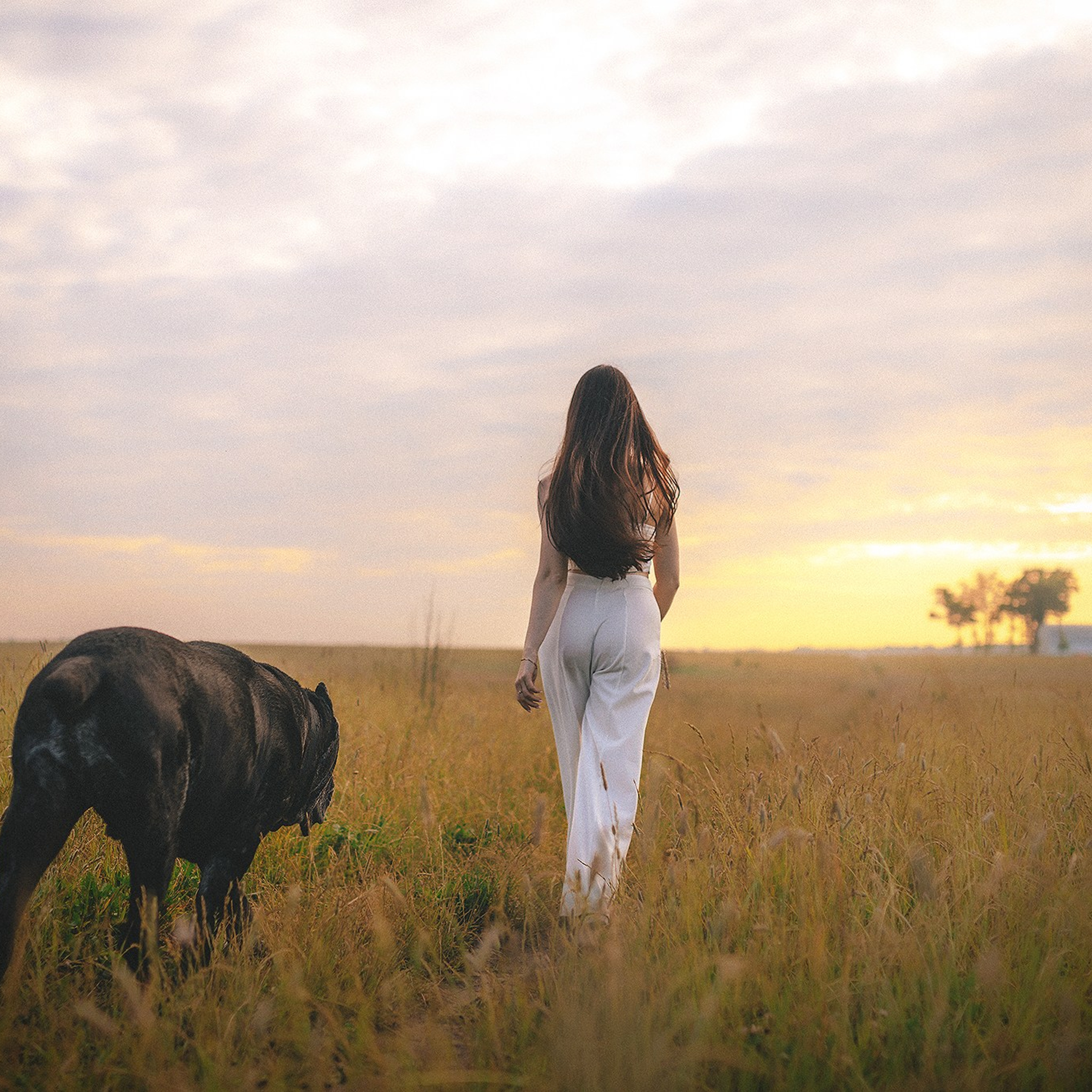 Отзывы. Фотограф-анималист • love-story • Санкт-Петербург