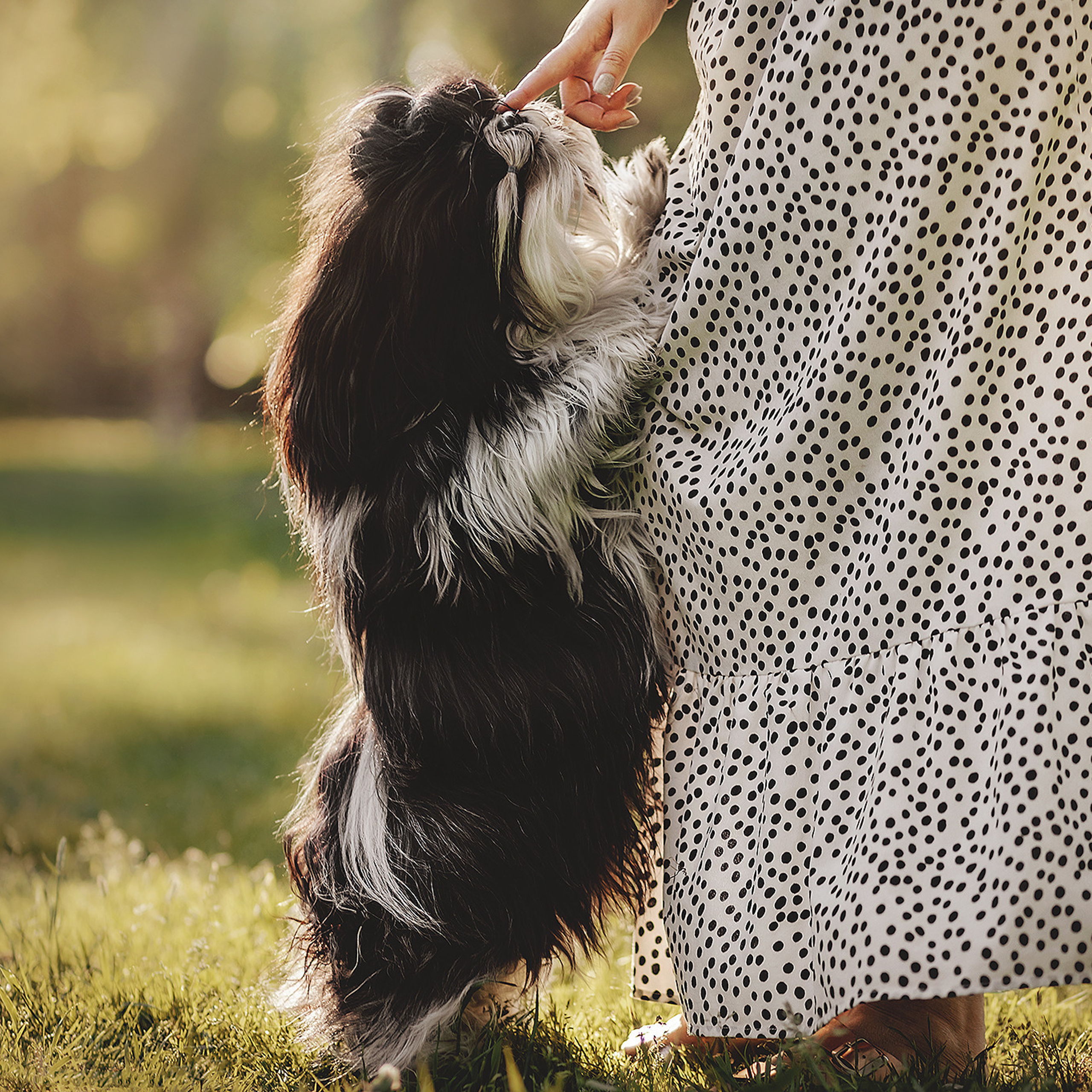 Отзывы. Фотограф-анималист • love-story • Санкт-Петербург