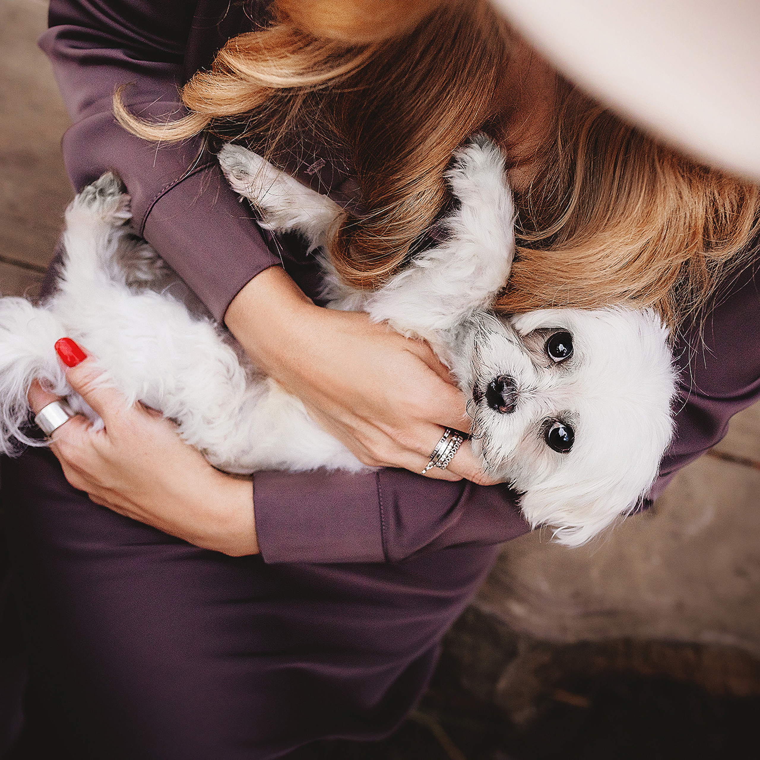 Отзывы. Фотограф-анималист • love-story • Санкт-Петербург