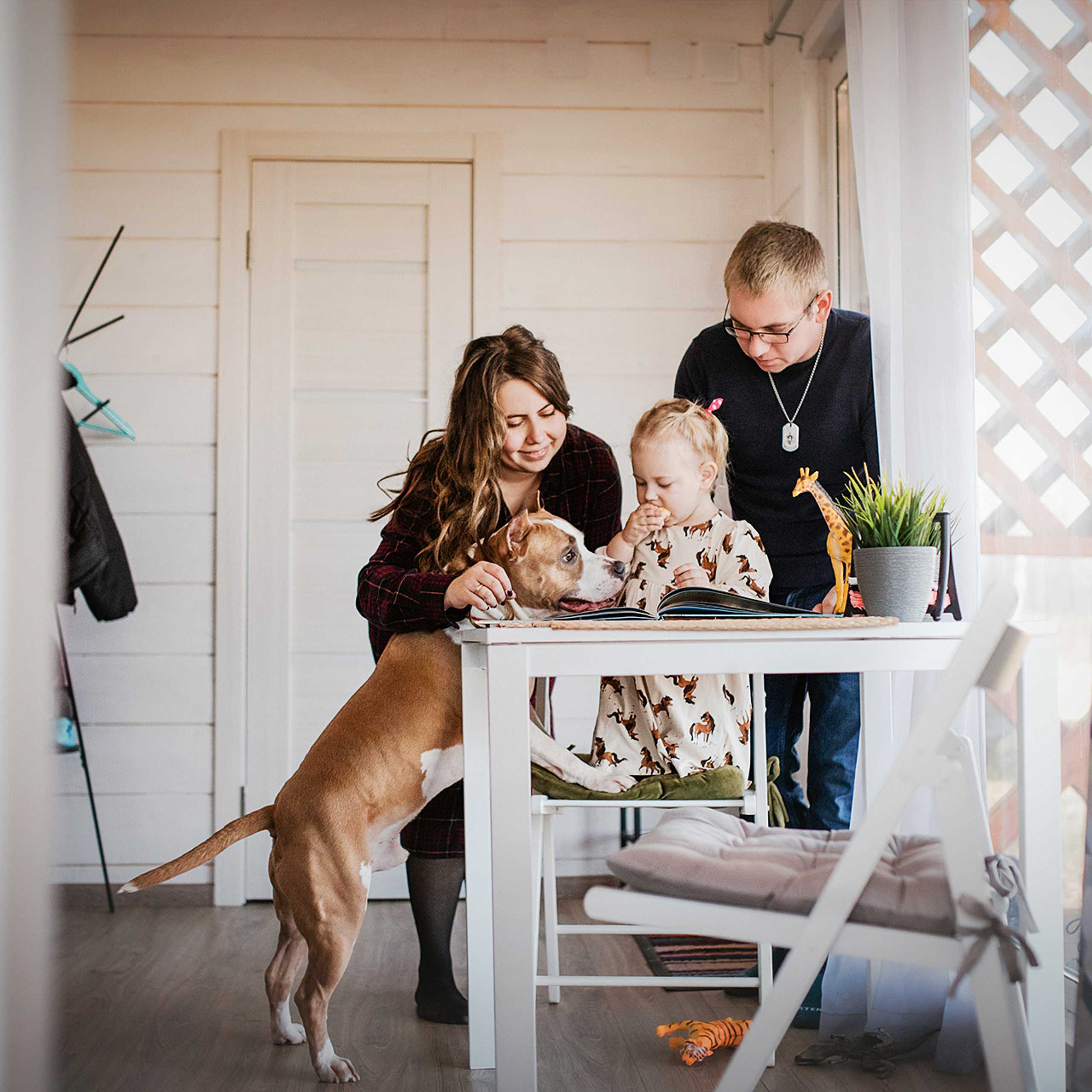 Семейная съёмка в загородном домике
