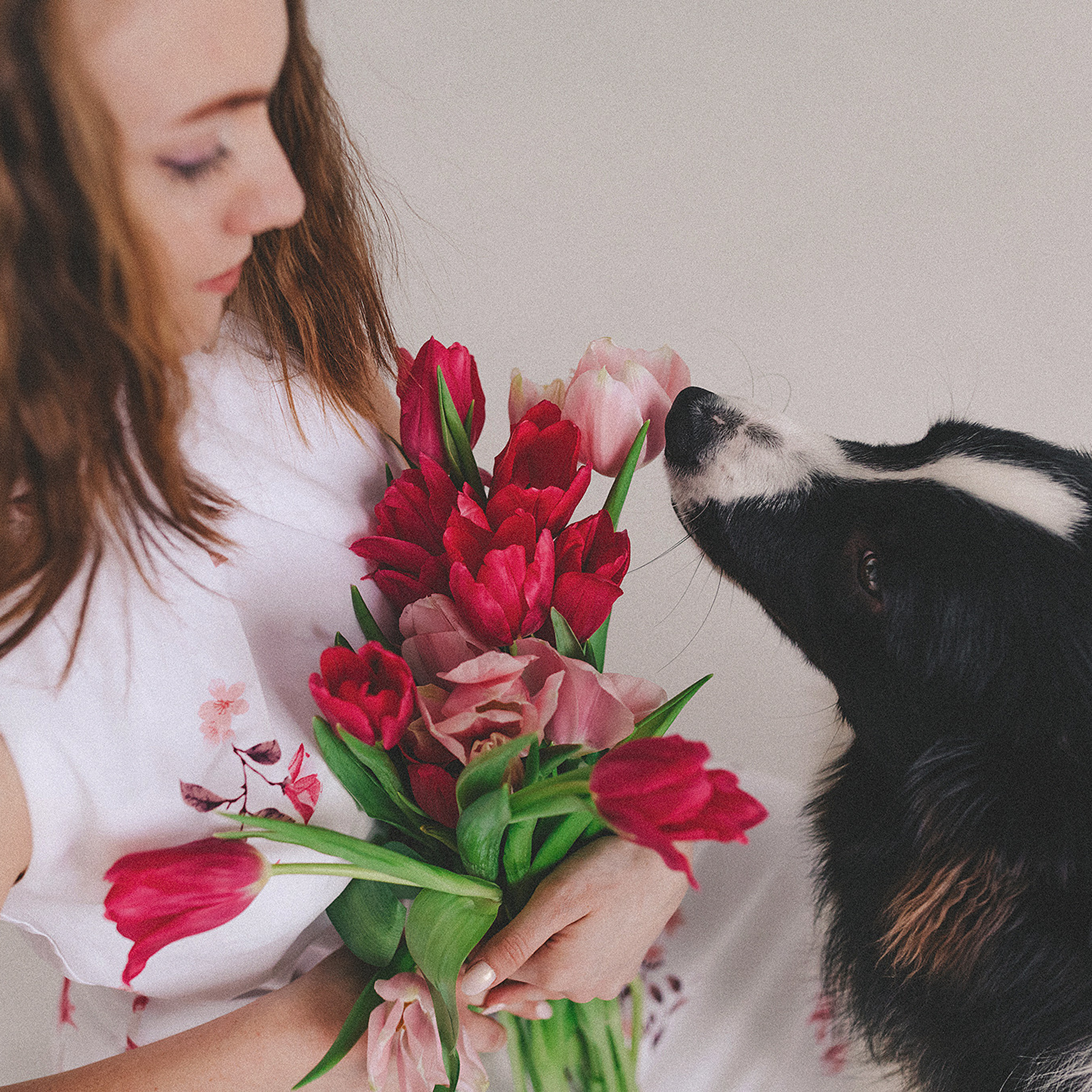 Отзывы. Фотограф-анималист • love-story • Санкт-Петербург