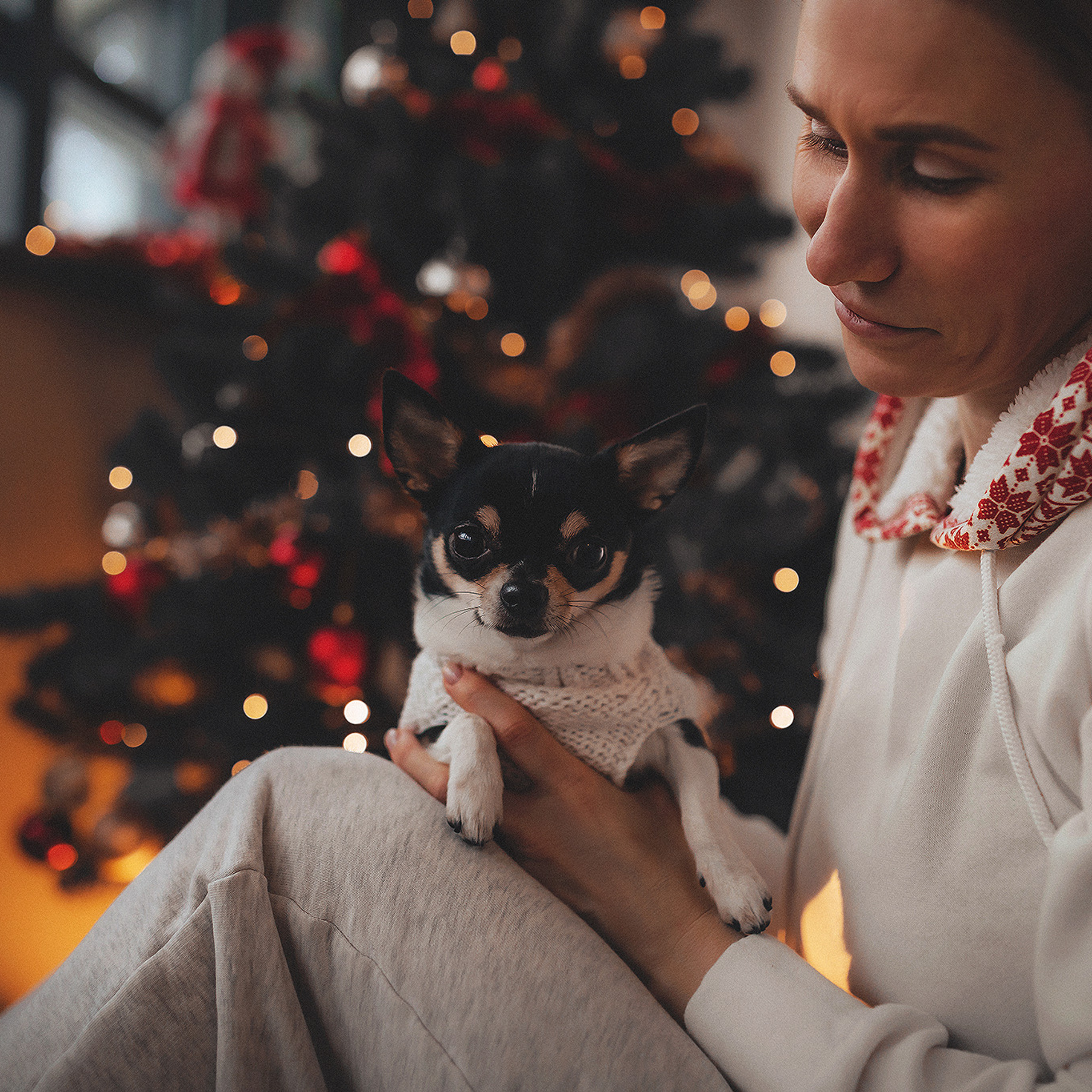 Хати и Света