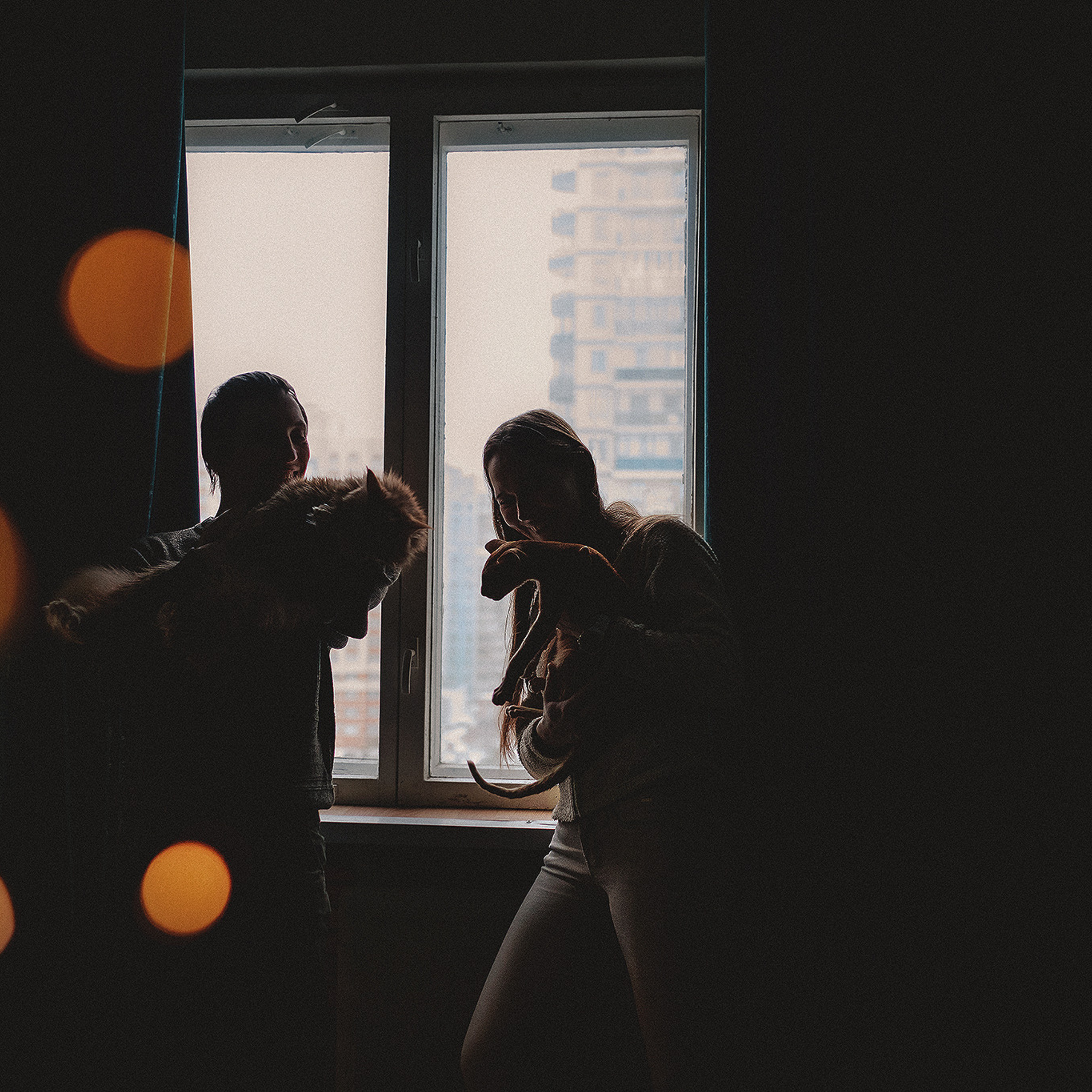 Котики love story