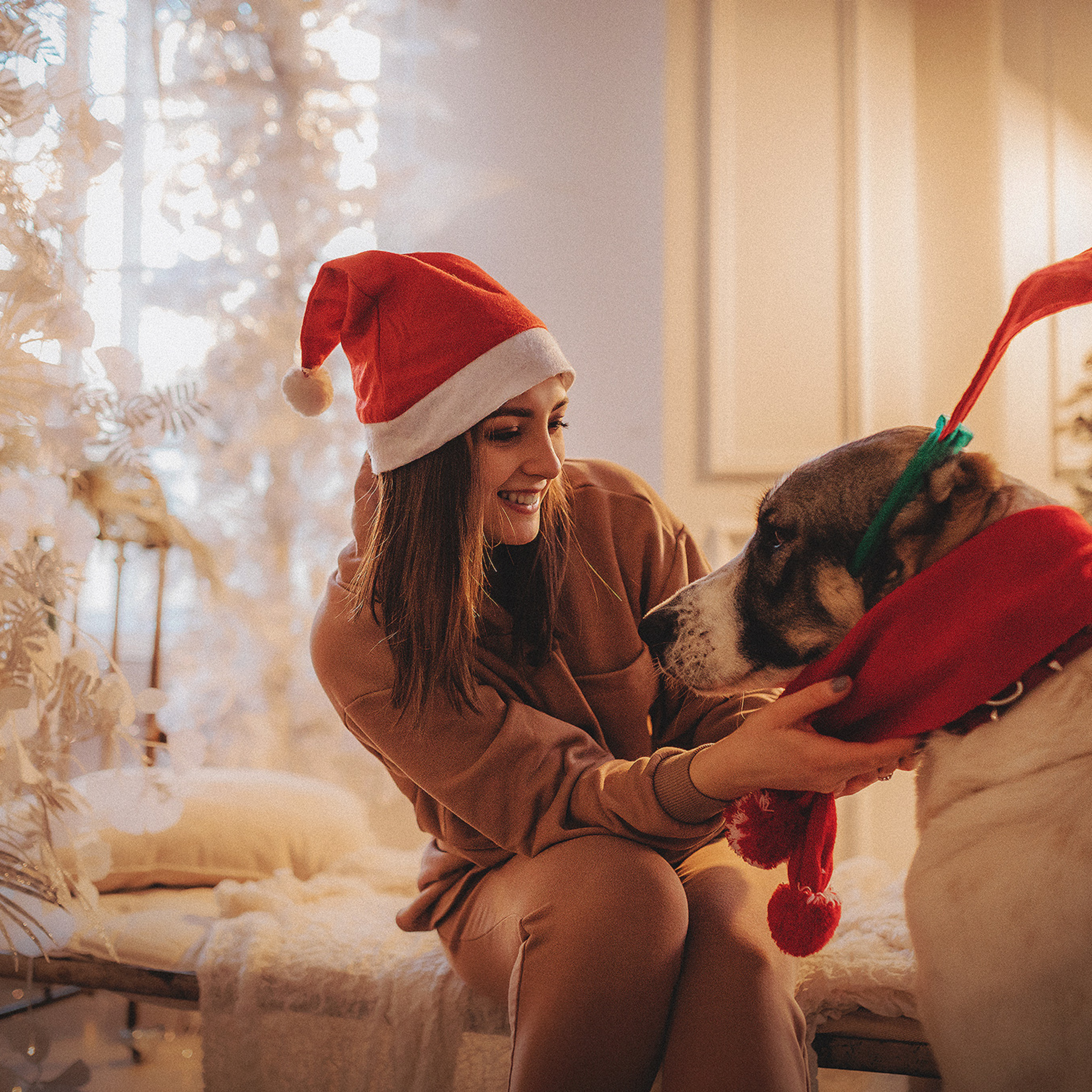 Отзывы. Фотограф-анималист • love-story • Санкт-Петербург