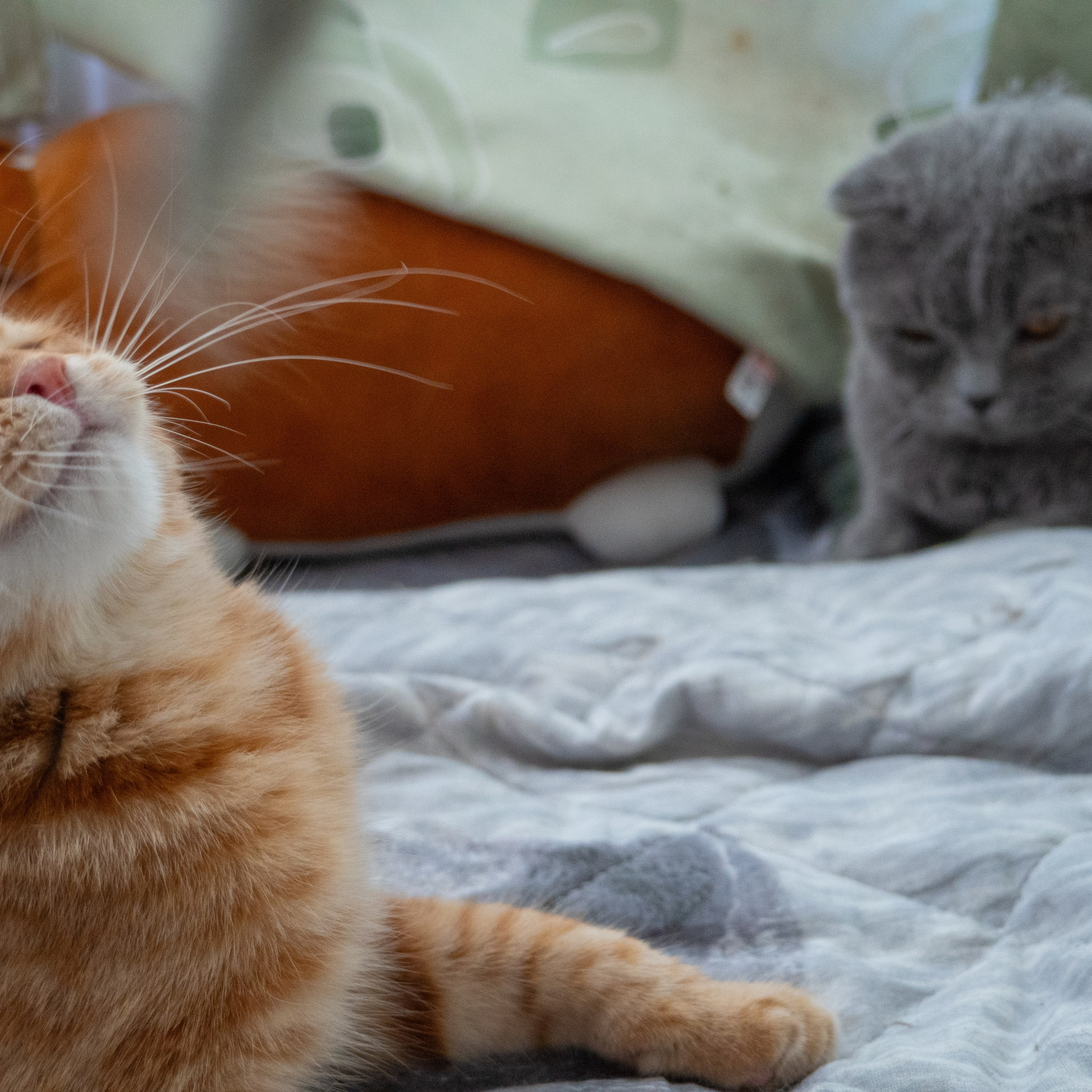 Мой блог. Видеограф, фотограф в Санкт-Петербурге Элеонора Петрова