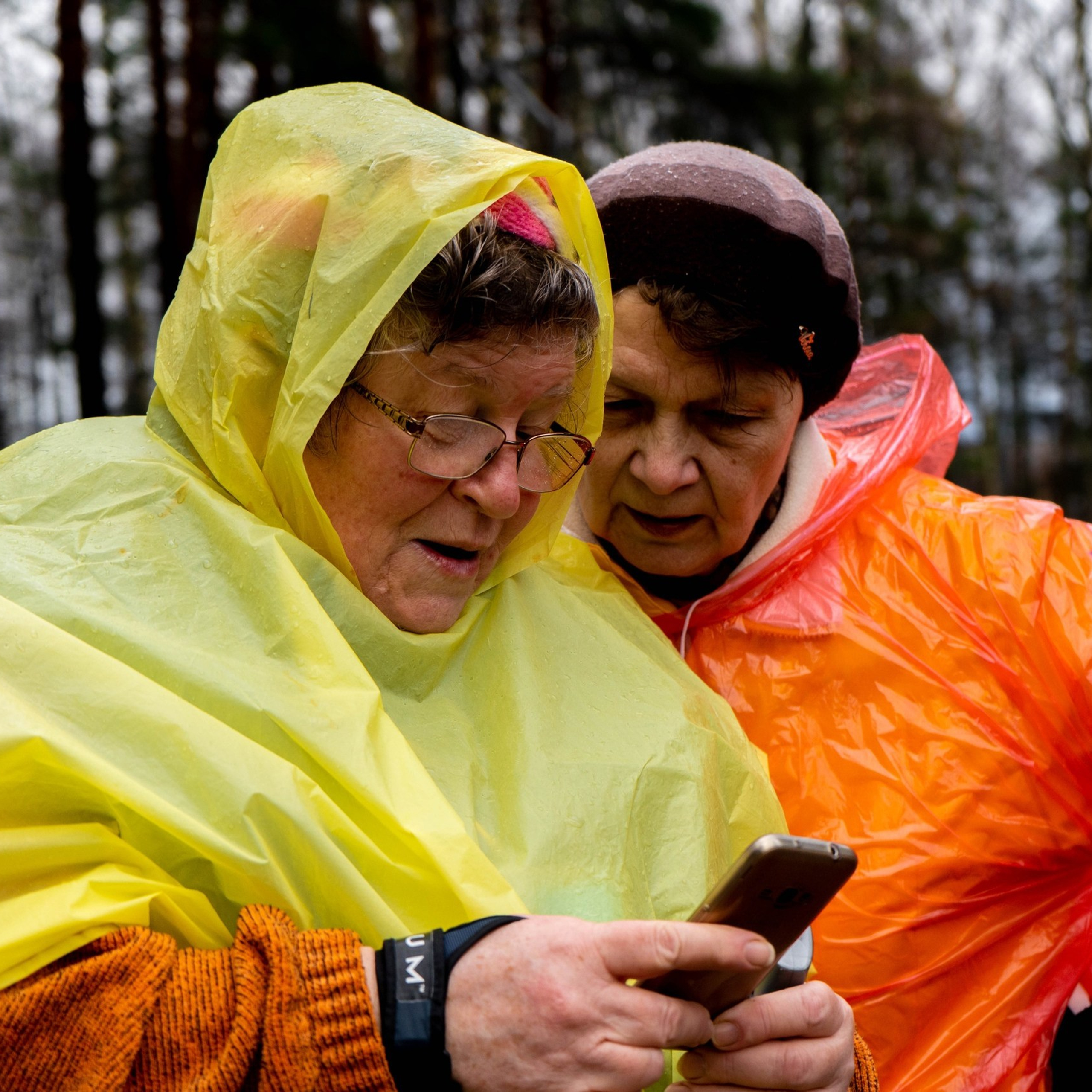 Скандинавская ходьба