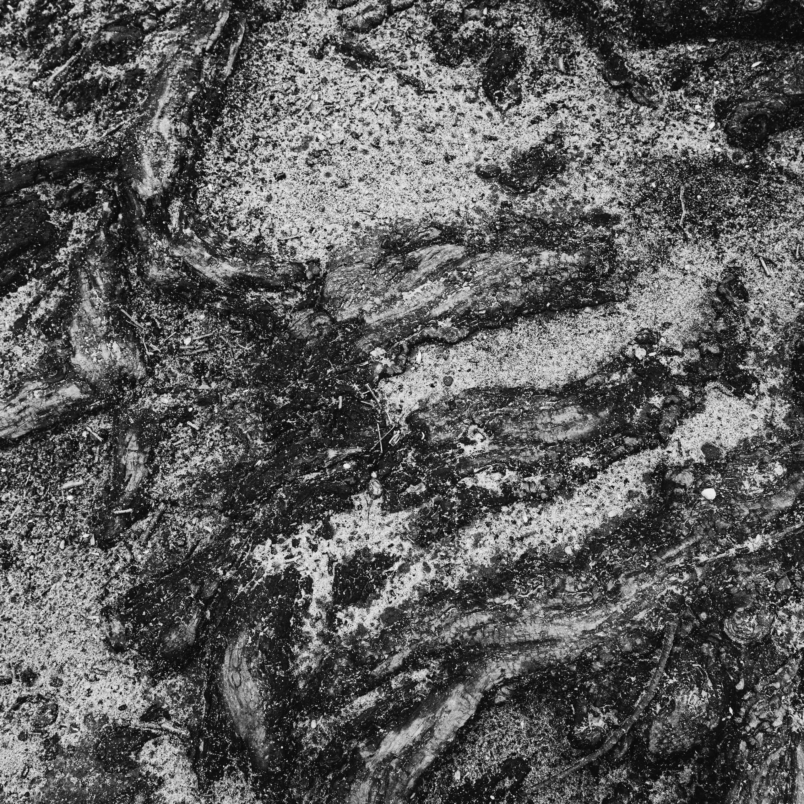 Текстуры апреля