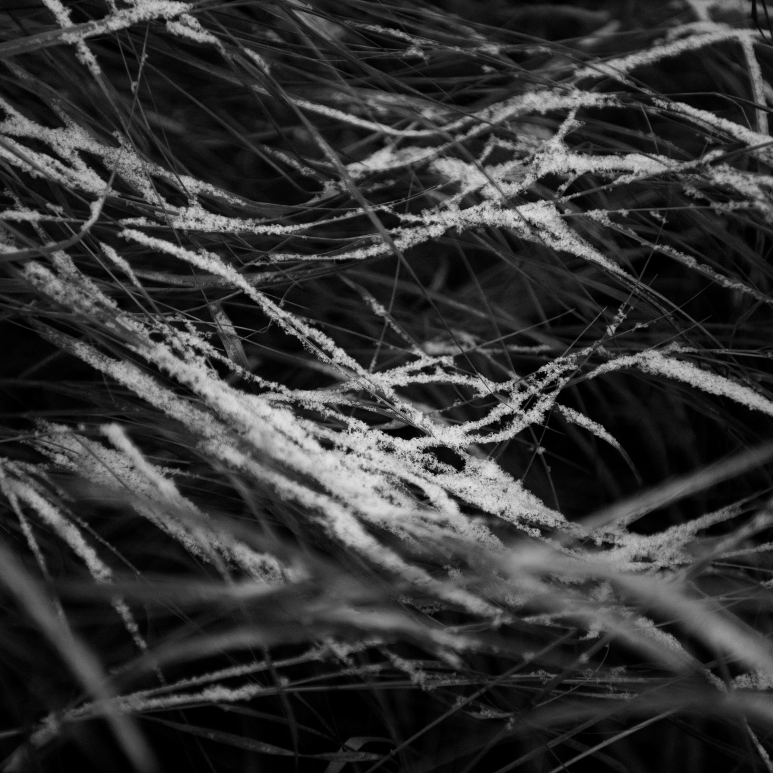 Дипломный проект «Баланс и равновесие»