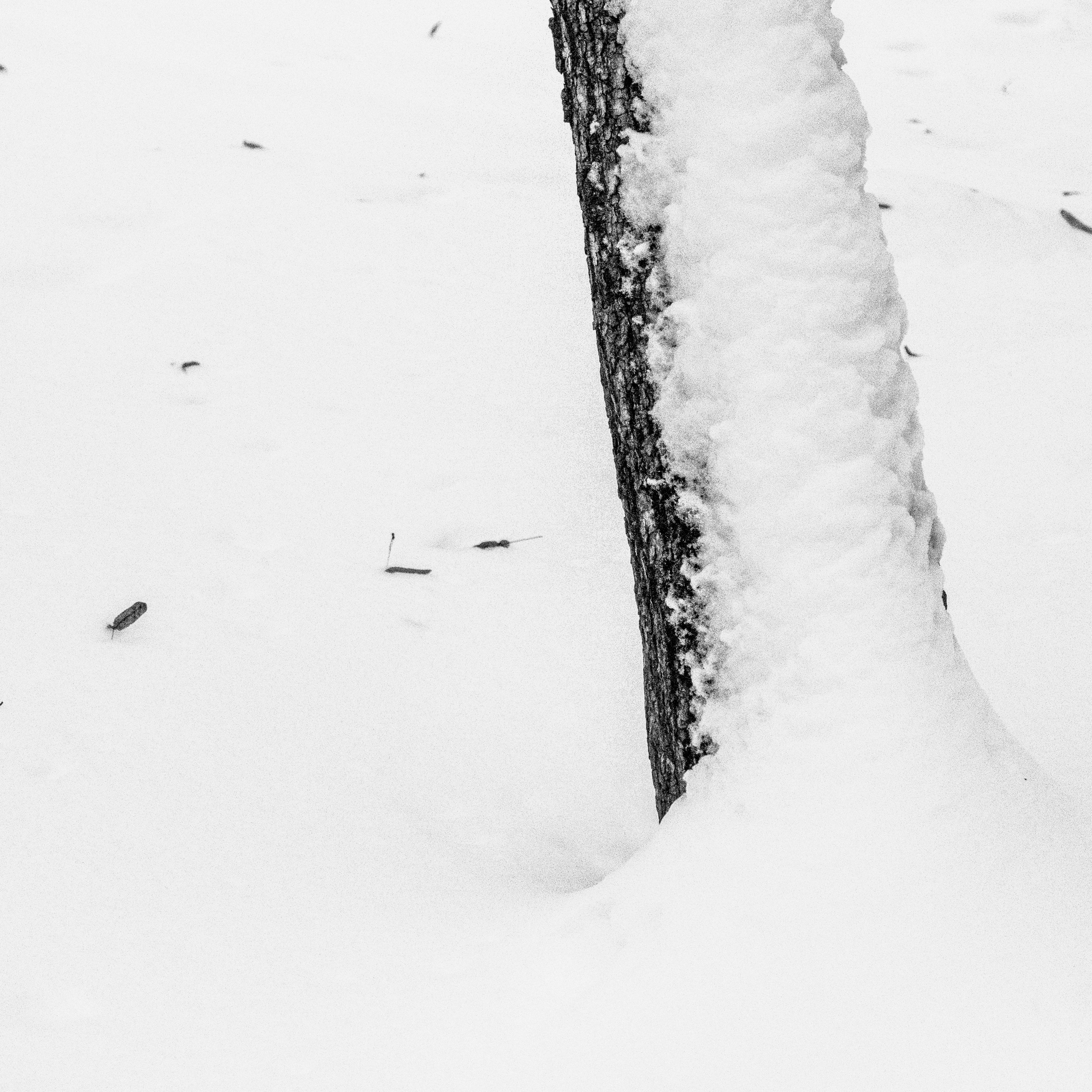 Снег в Москве