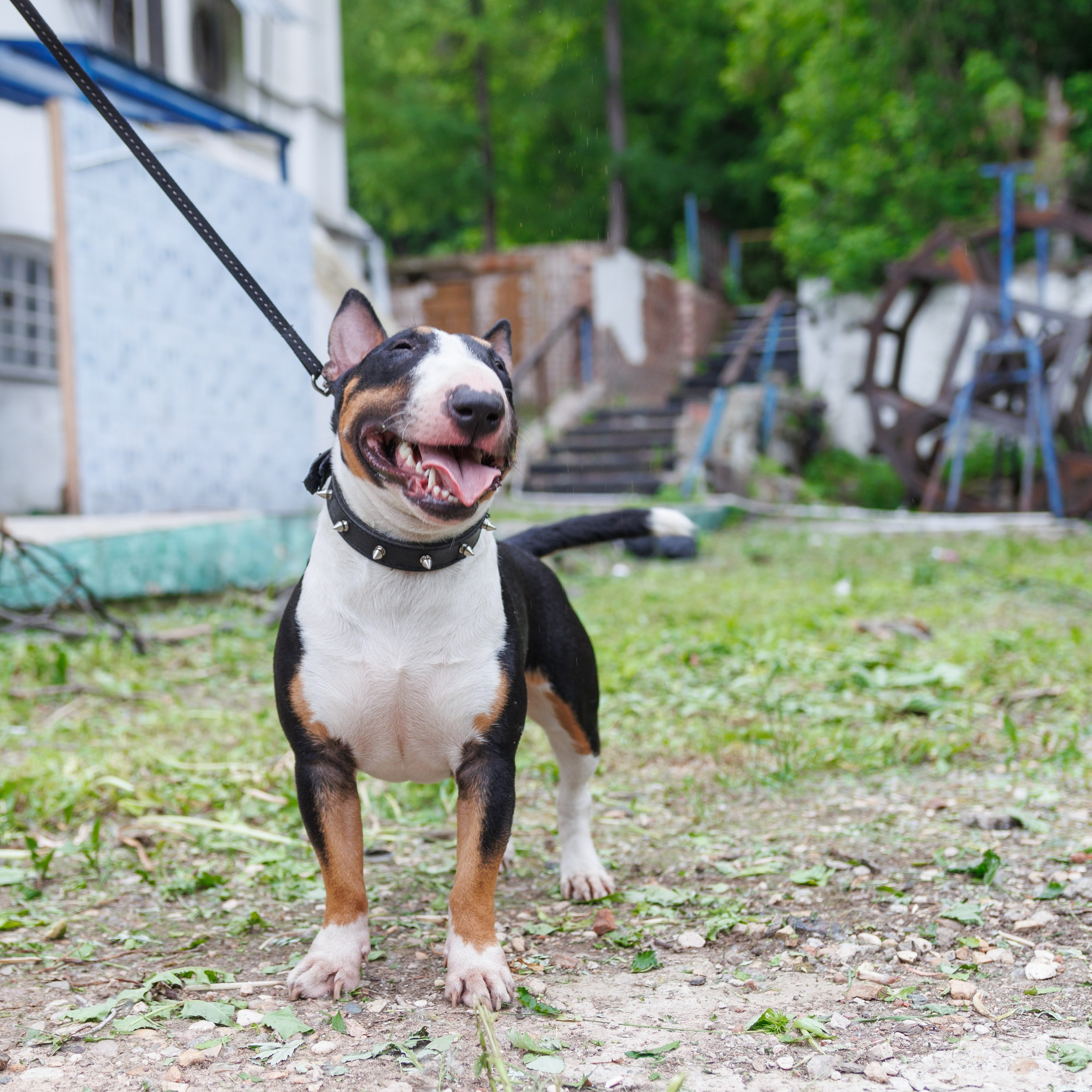 Фотопрогулка. Фотограф Николай Т