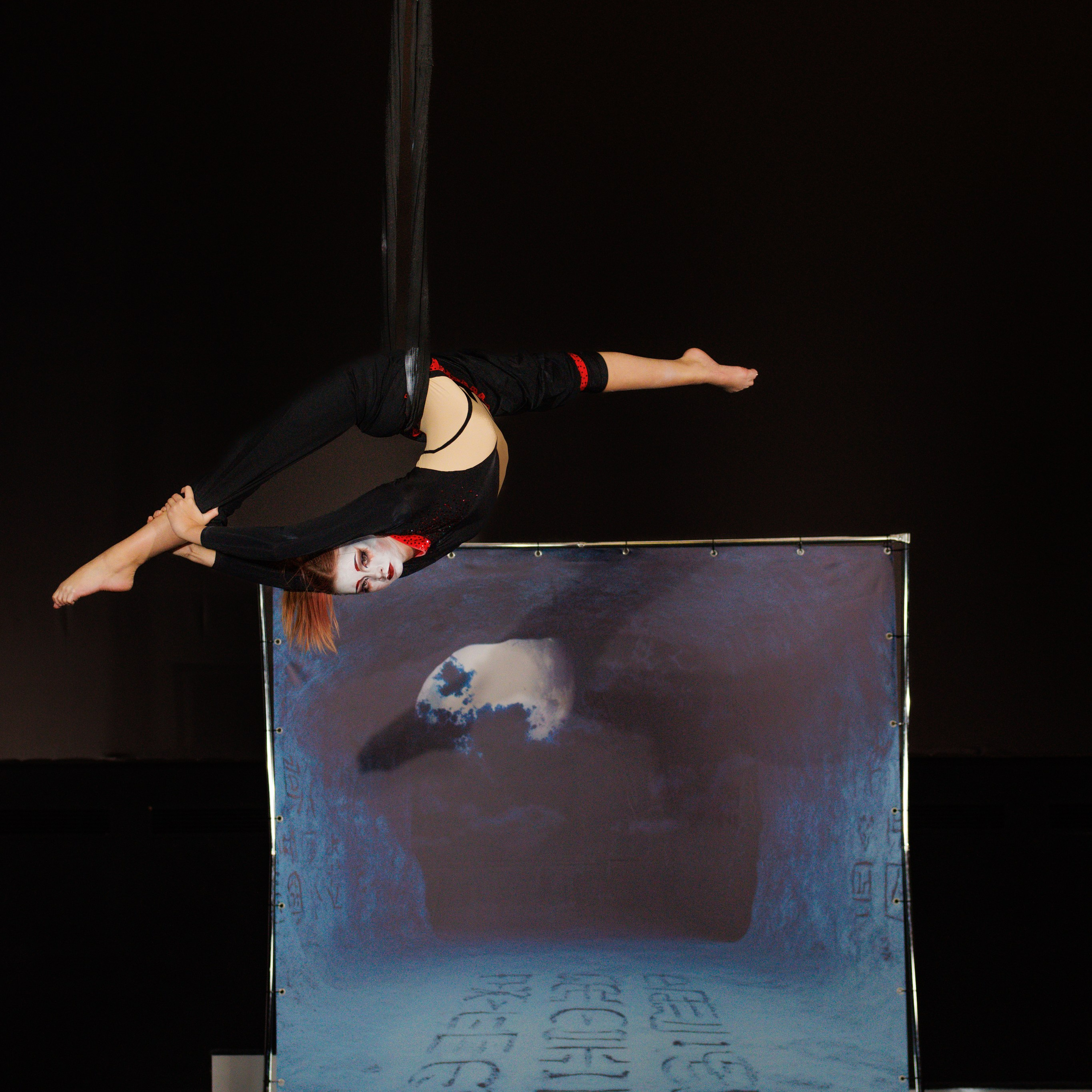 Pole dance, воздушная гимнастика. Фотограф Николай Т