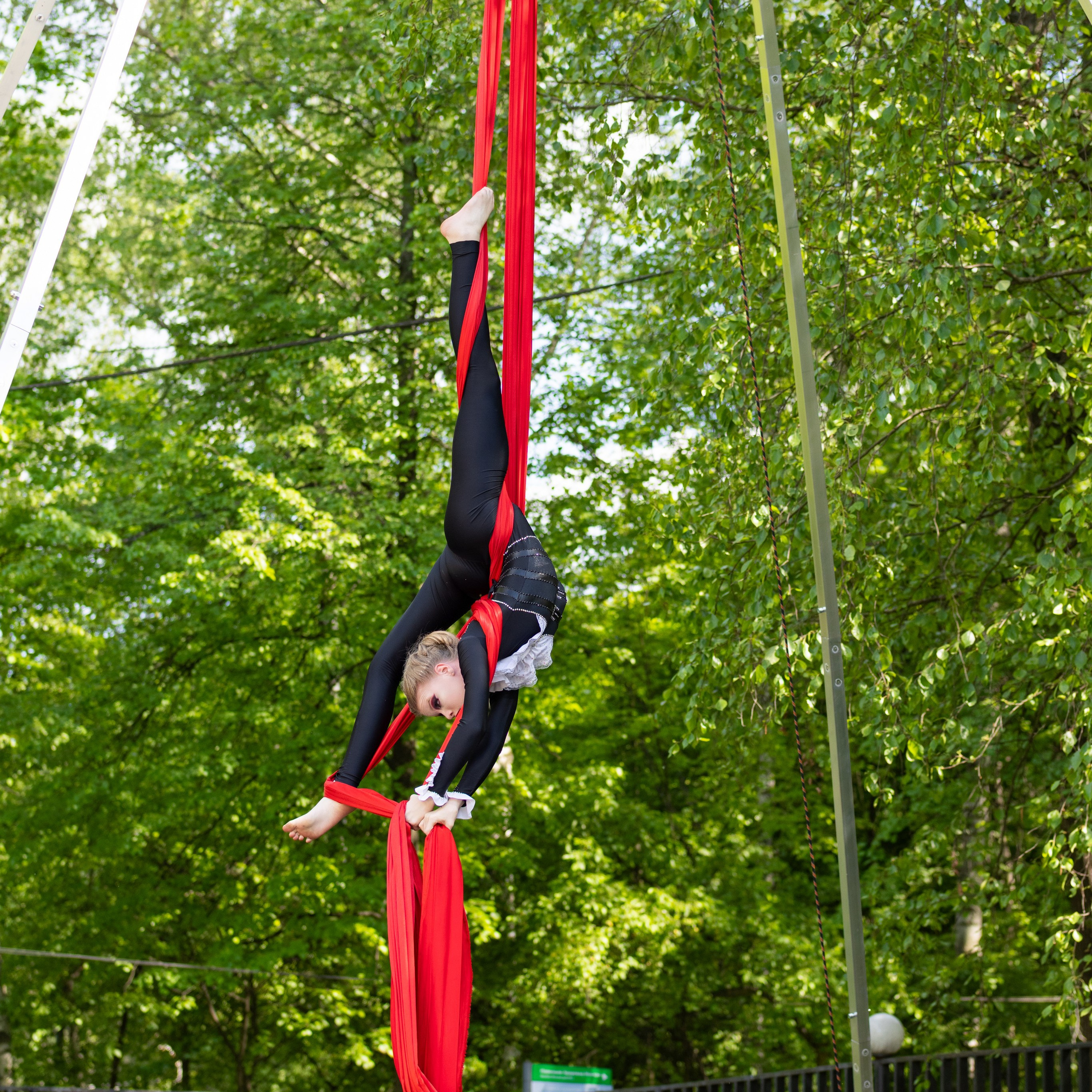 Pole dance, воздушная гимнастика. Фотограф Николай Т