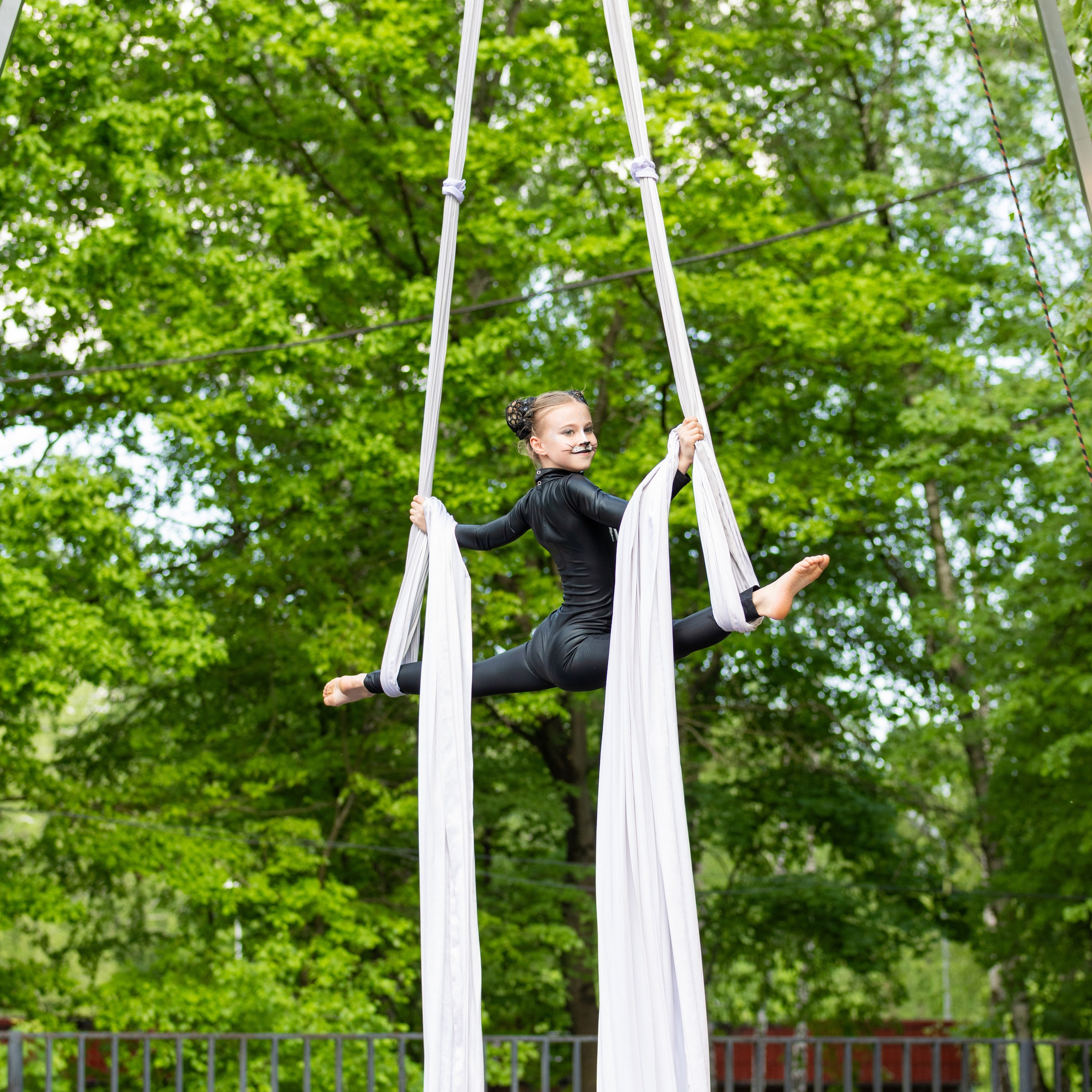 Pole dance, воздушная гимнастика. Фотограф Николай Т