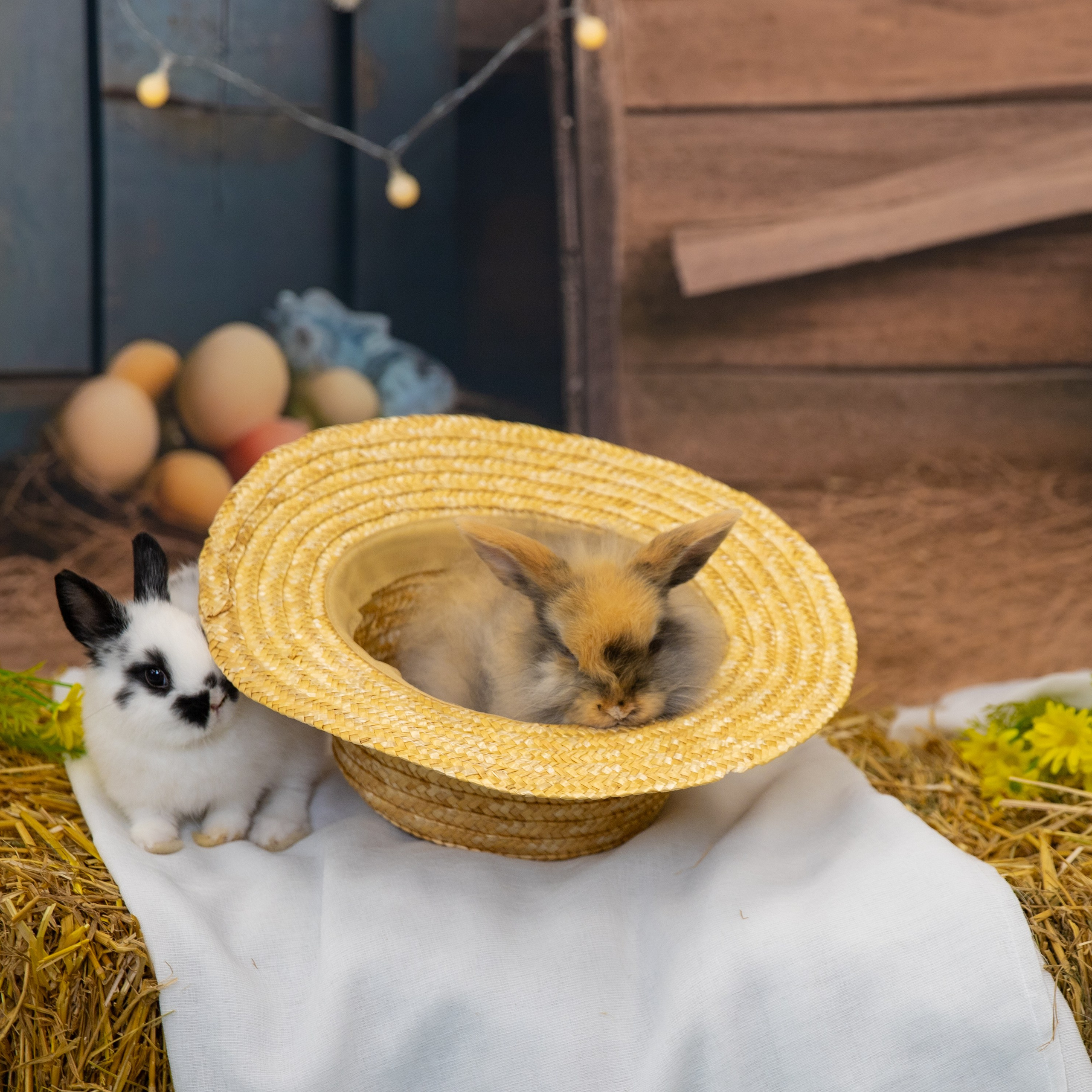 Отзывы. Лучший фотограф Краснодара (по версии моей мамы)