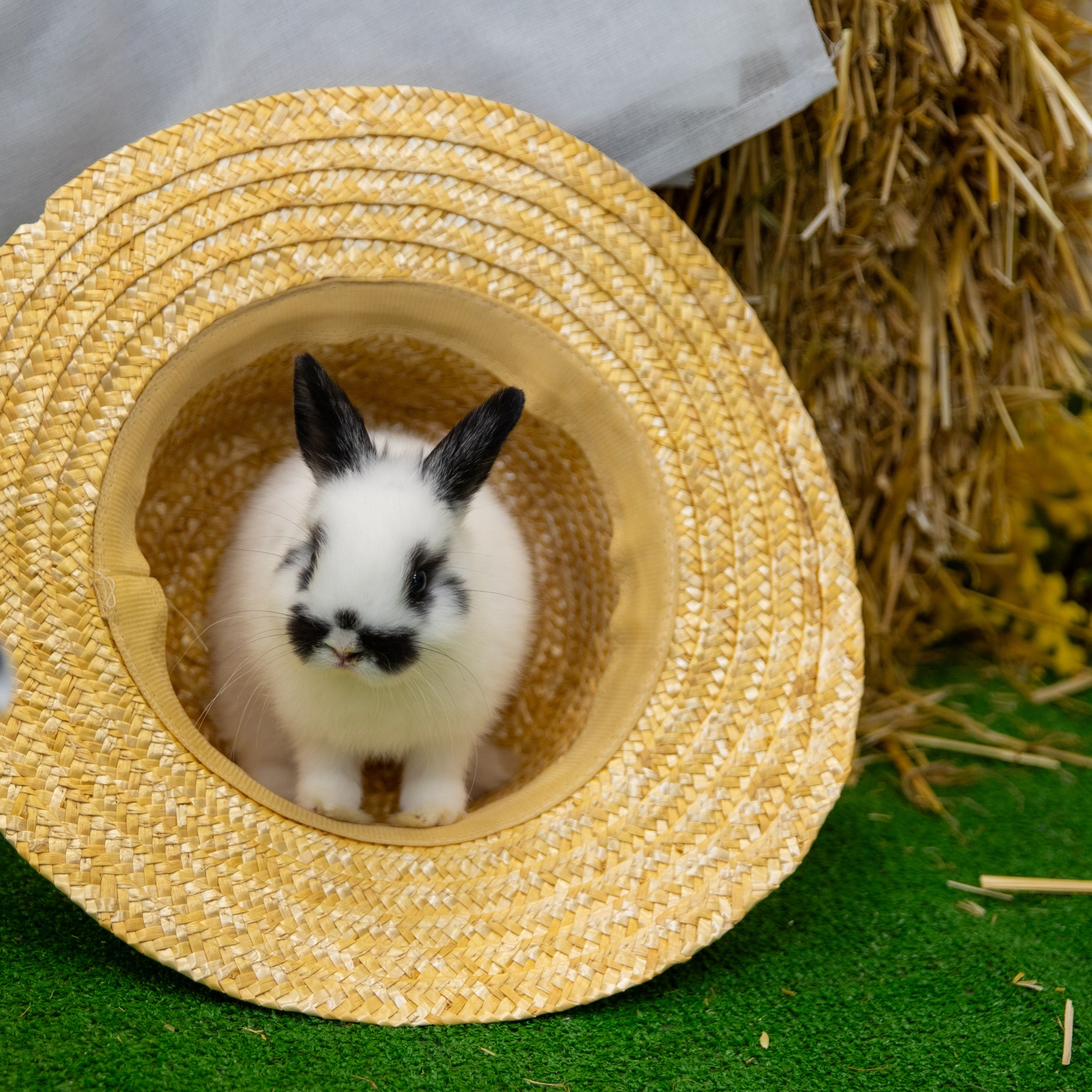 Отзывы. Лучший фотограф Краснодара (по версии моей мамы)
