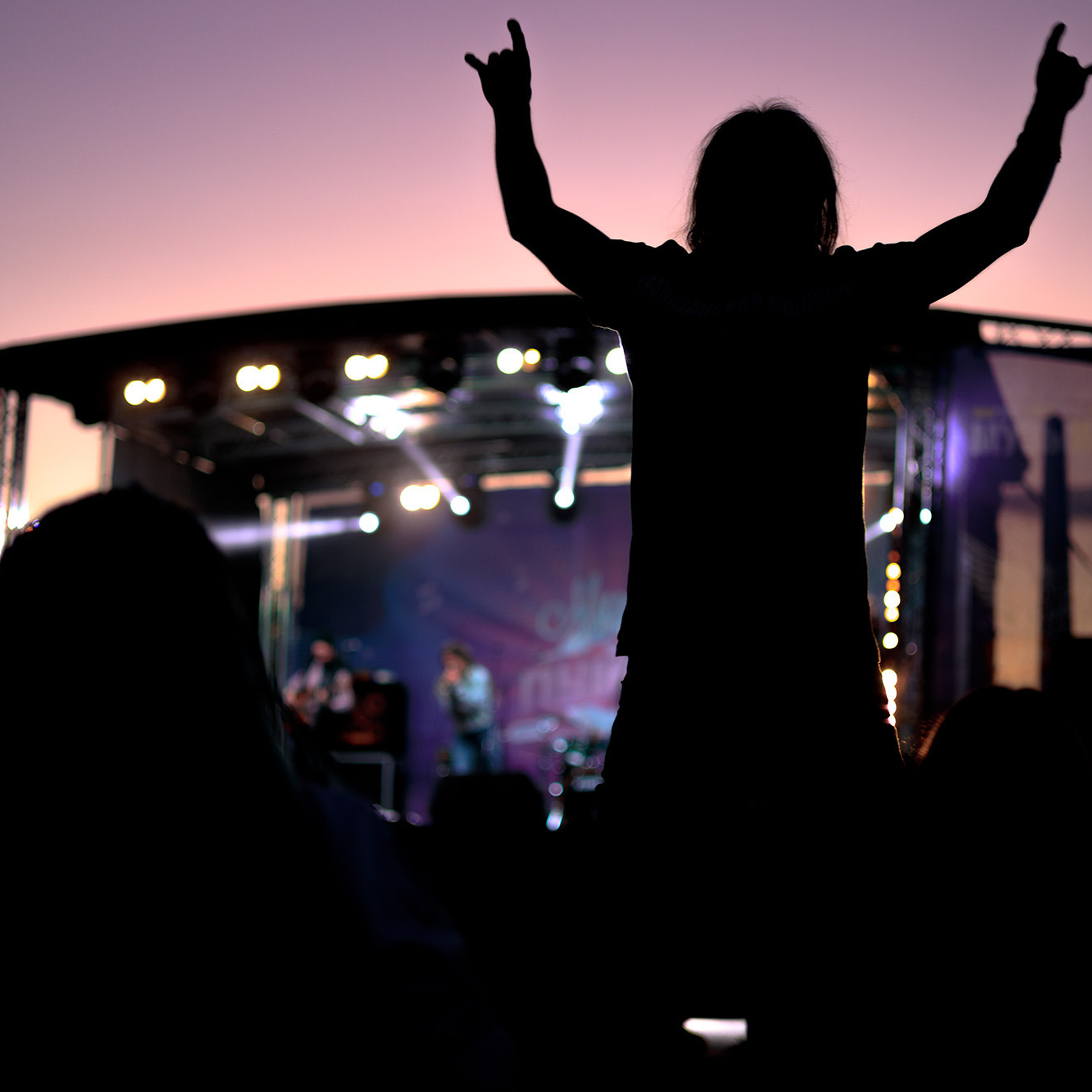 «Музы и Пушки», пятый фестиваль