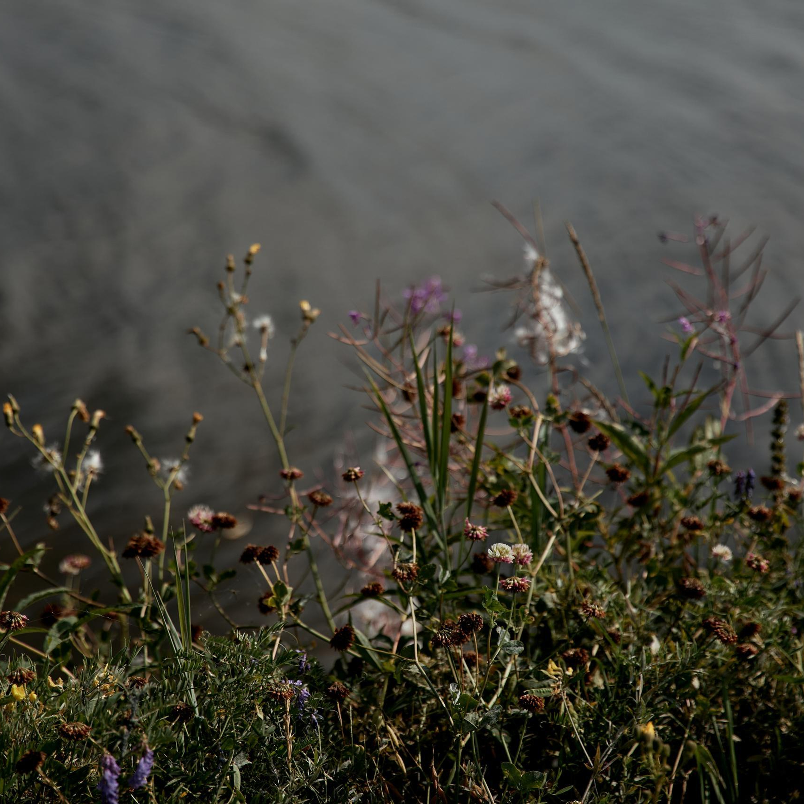 Отзывы клиентов о работе с Дмитрием Мазуркевичем – профессиональный фотограф Екатеринбург. Дмитрий Мазуркевич: Профессиональный Репортажный Фотограф