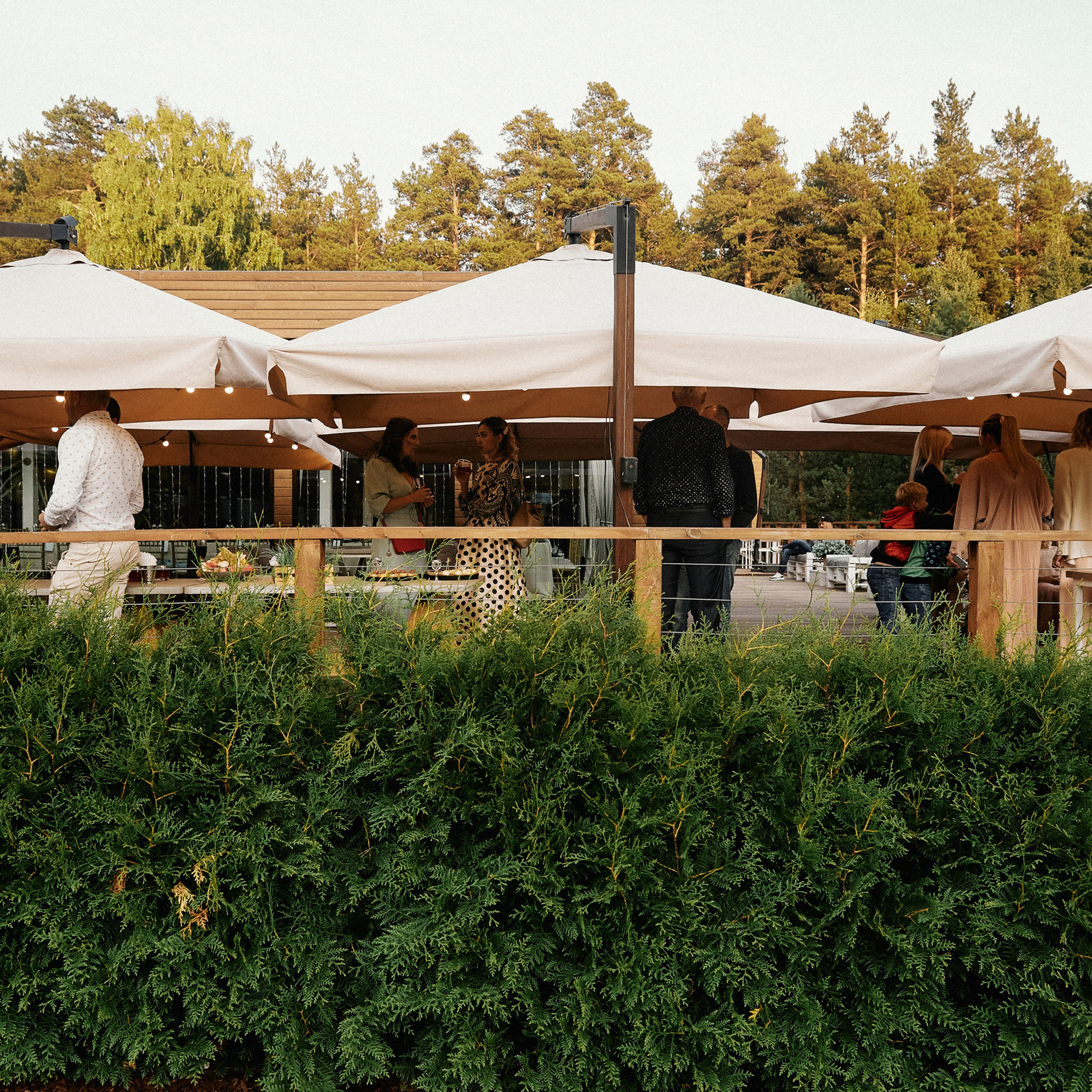 Отзывы клиентов о работе с Дмитрием Мазуркевичем – профессиональный фотограф Екатеринбург. Дмитрий Мазуркевич: Профессиональный Репортажный Фотограф