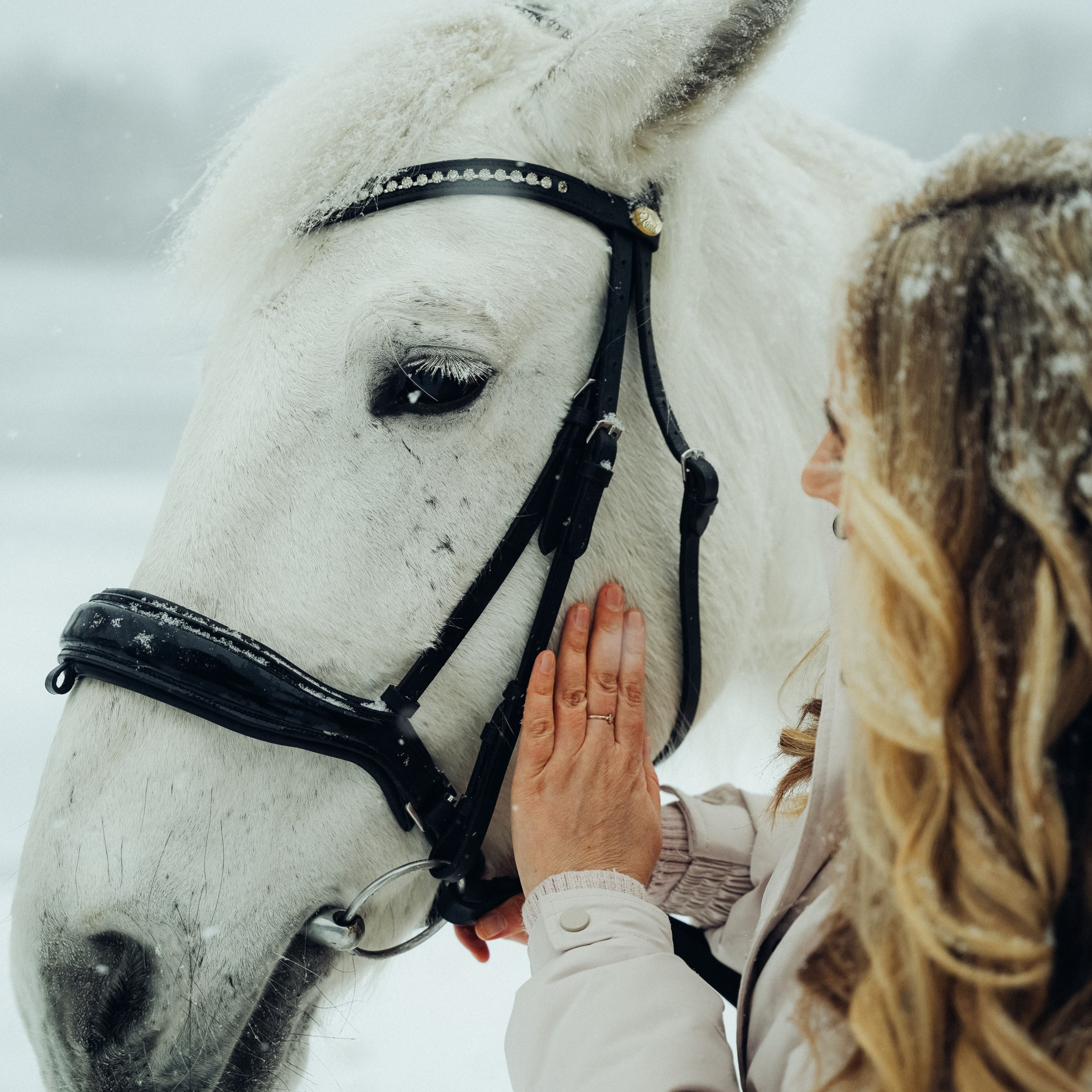 Отзывы. Фотограф г. Санкт-Петербург Александра Катанакова